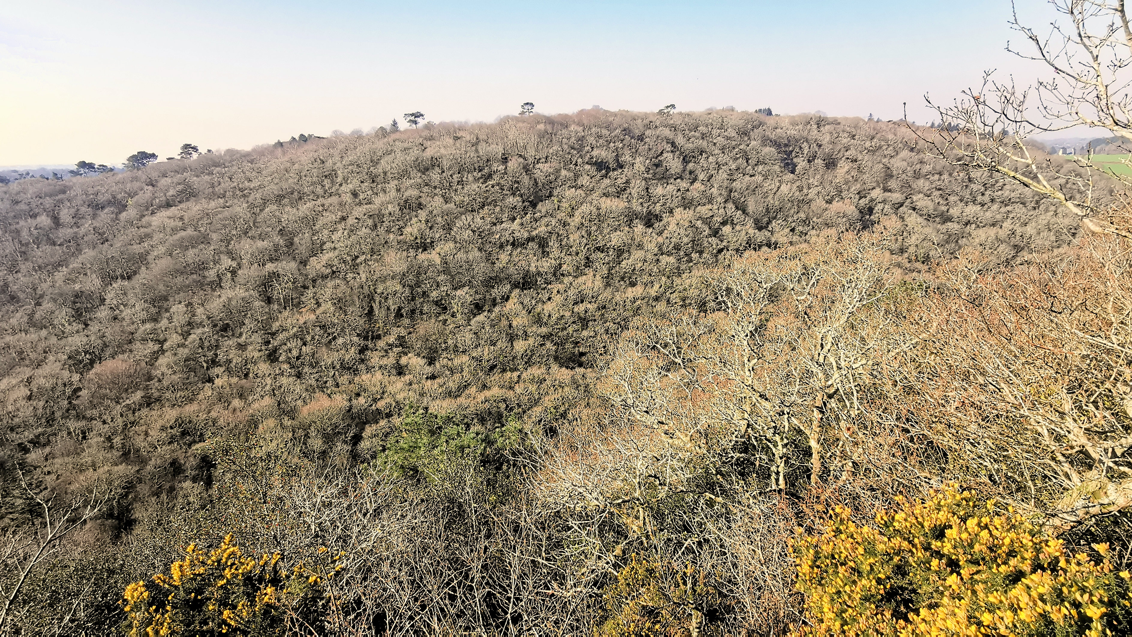 32-IMG_20210307_102515