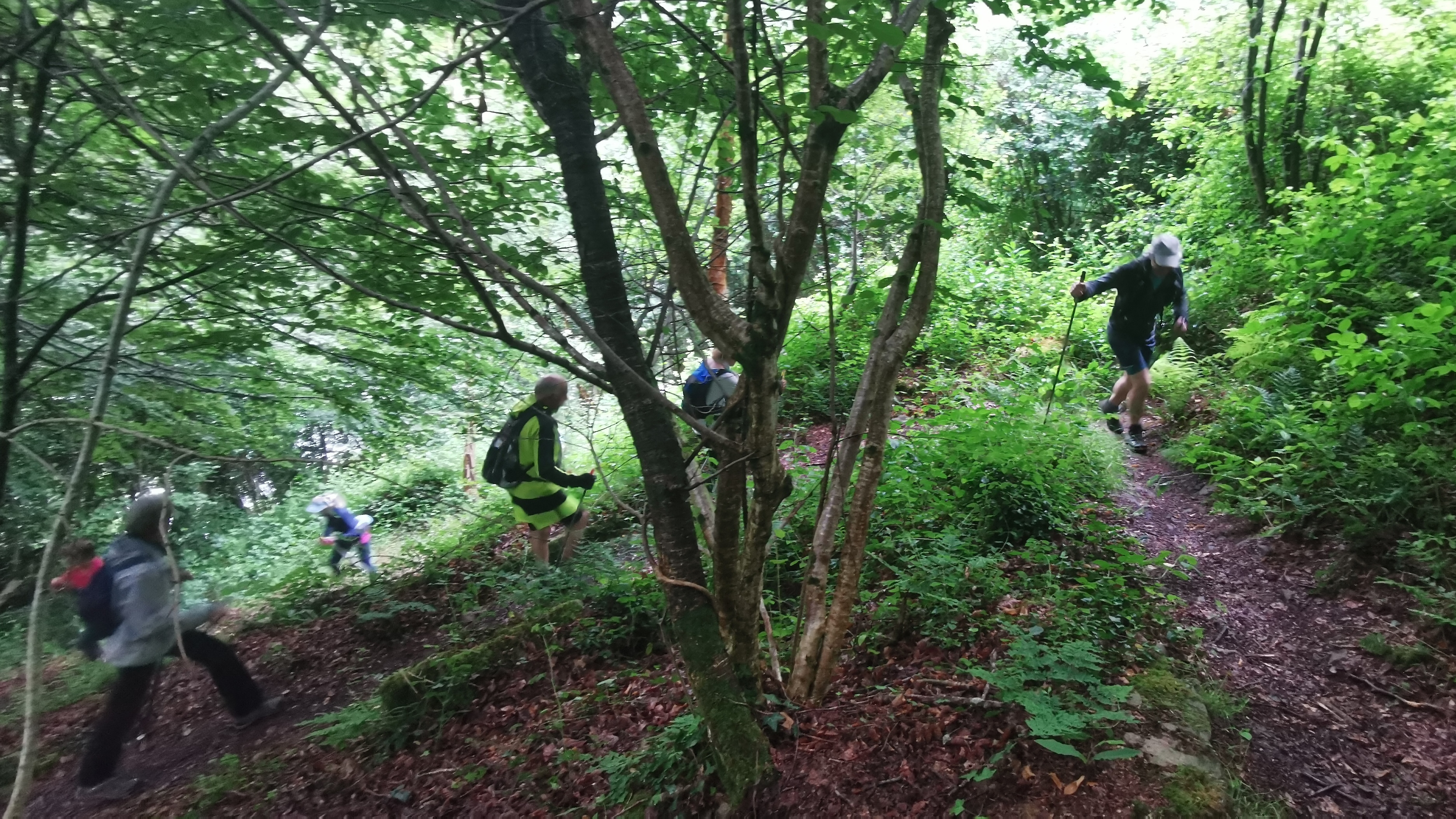 37-IMG_20210617_110954