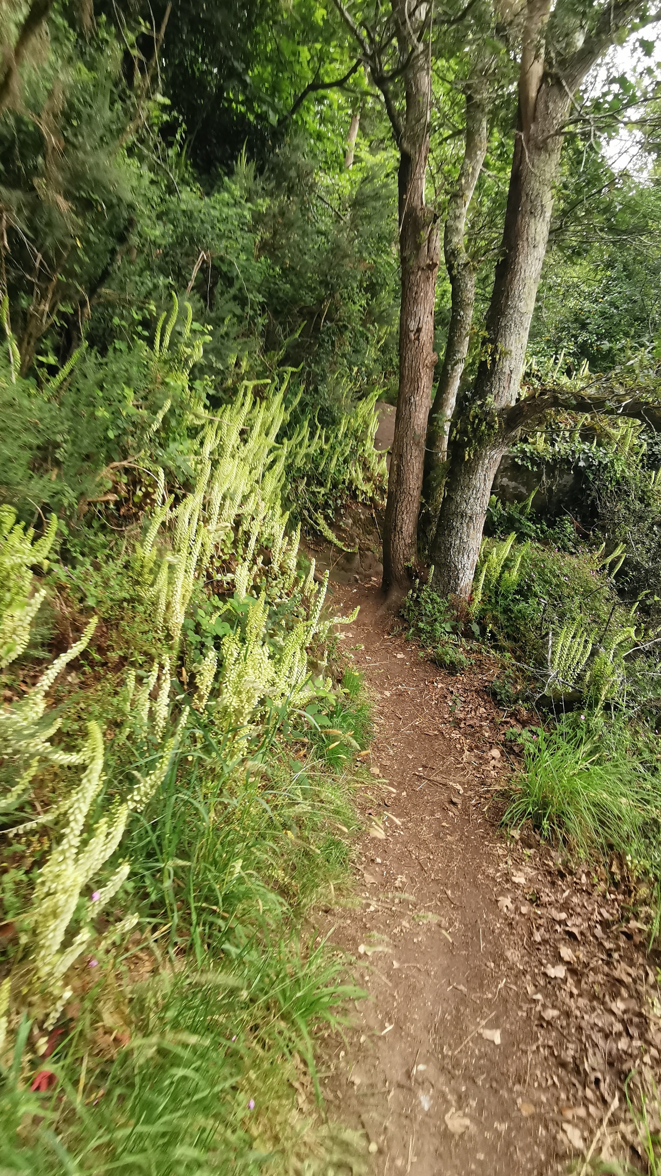 094-IMG_20210606_112745