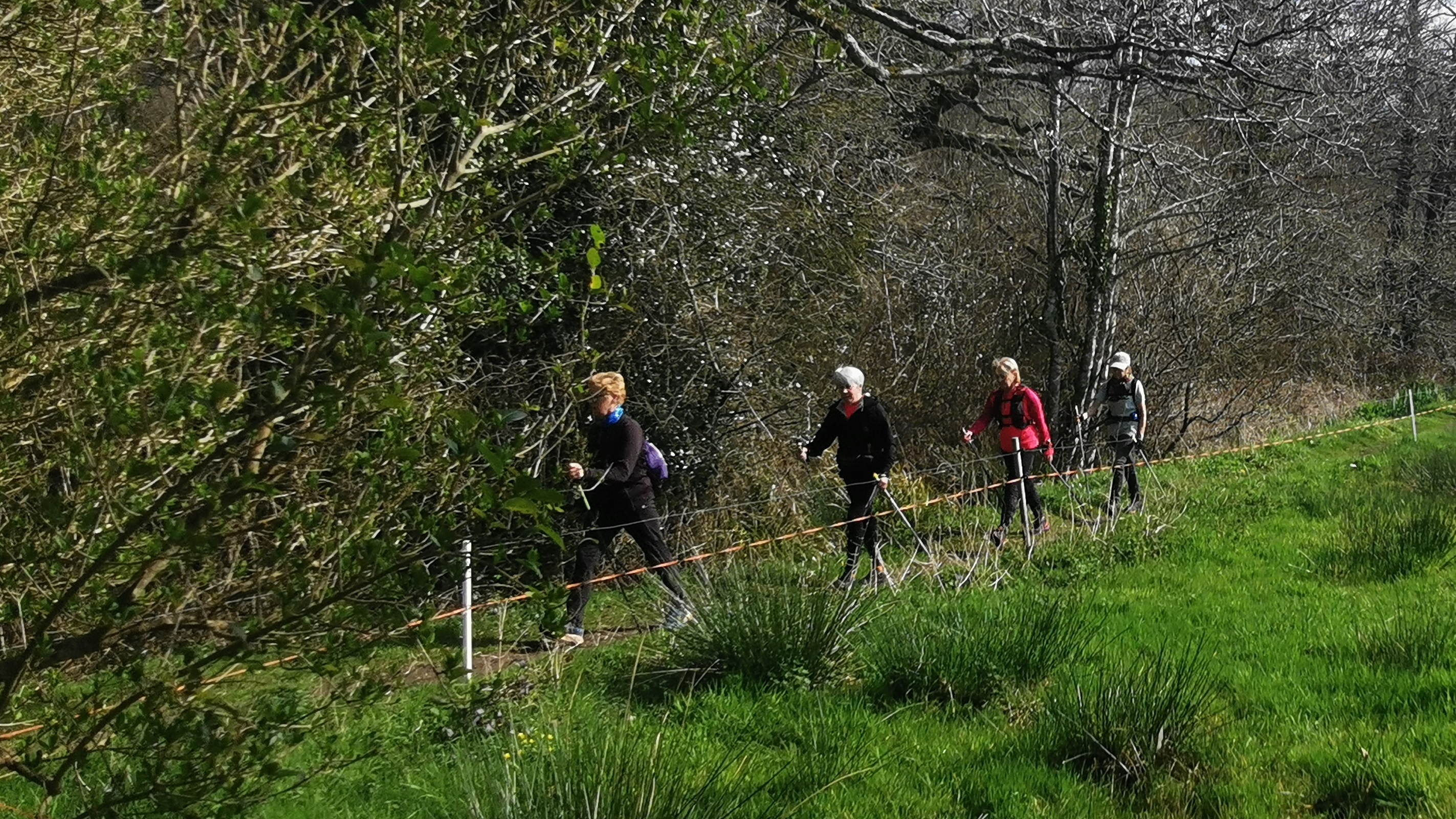 65-IMG_20210318_105907_1