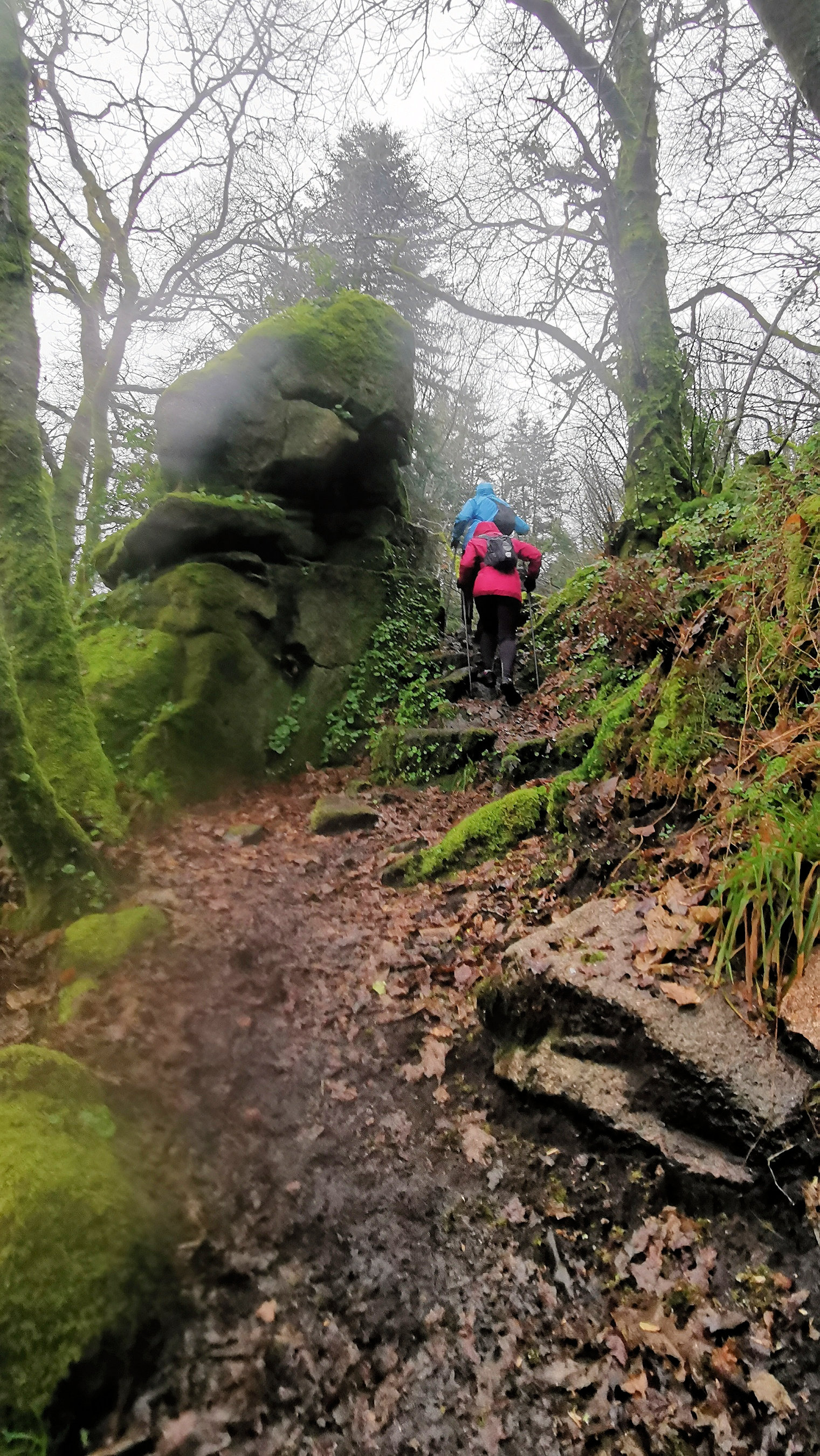 63-IMG_20210121_113224