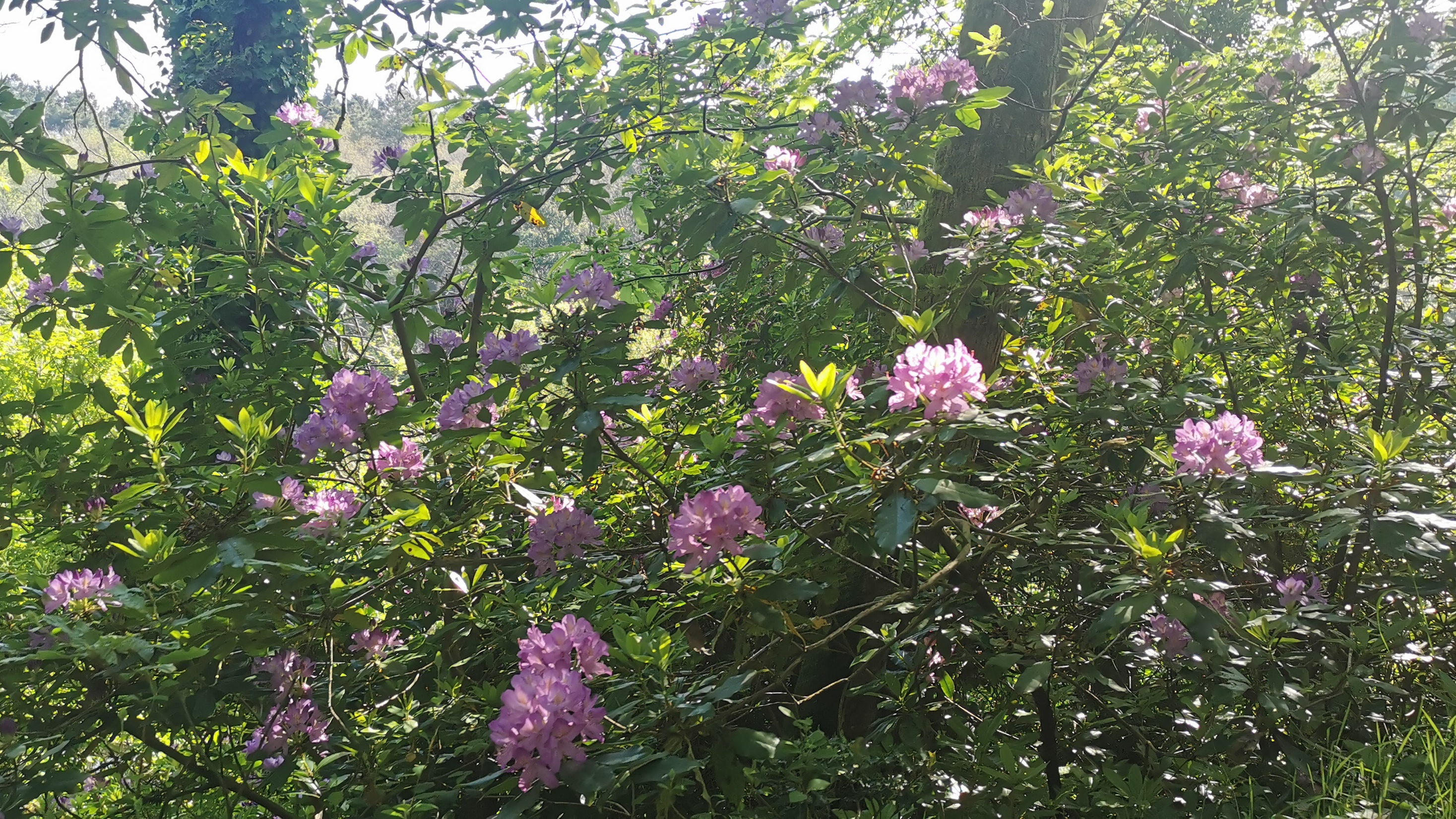 06-IMG_20210531_095956