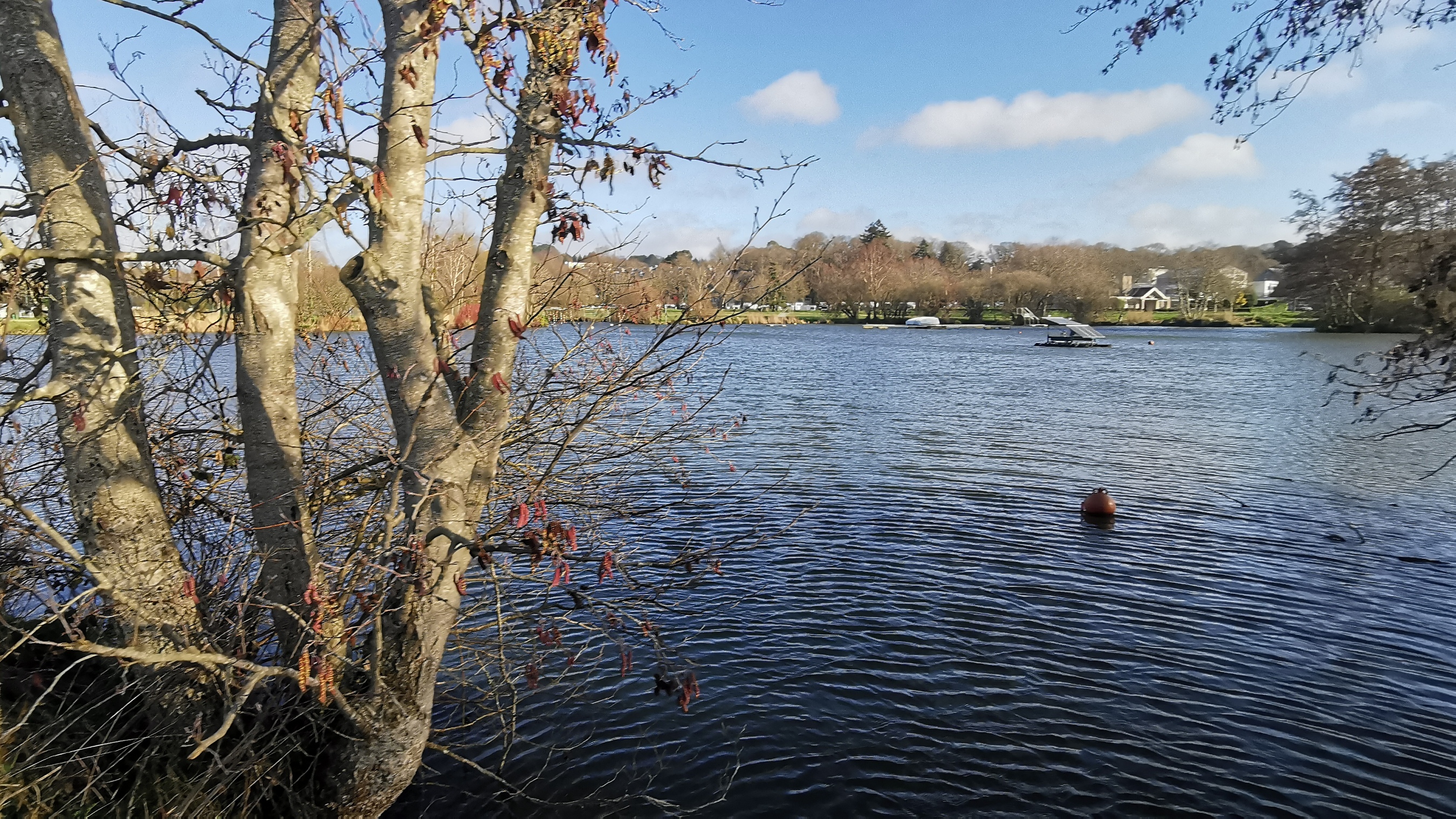 38-IMG_20210223_103603_1