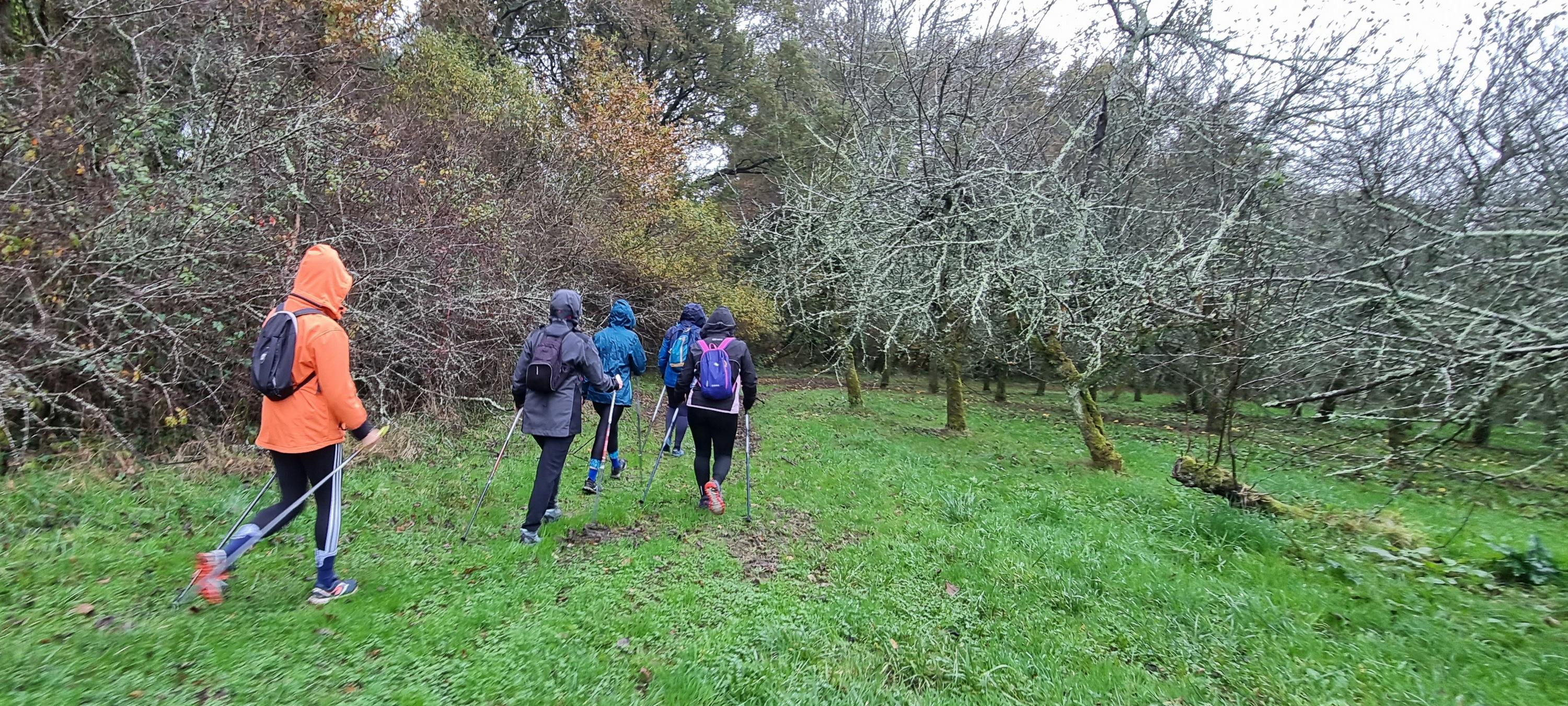 28-20211121_102110(0)