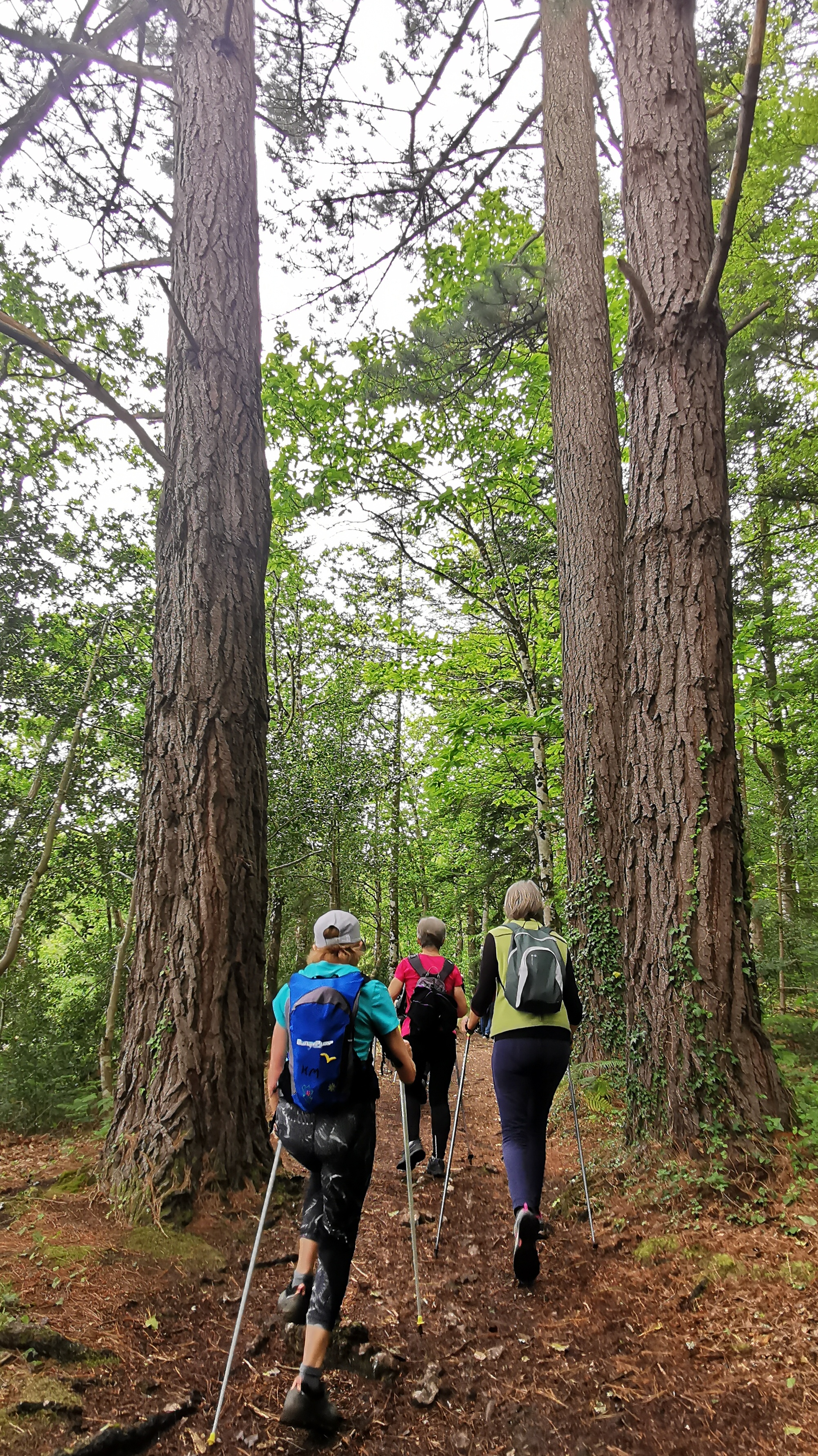 39-IMG_20210527_111154