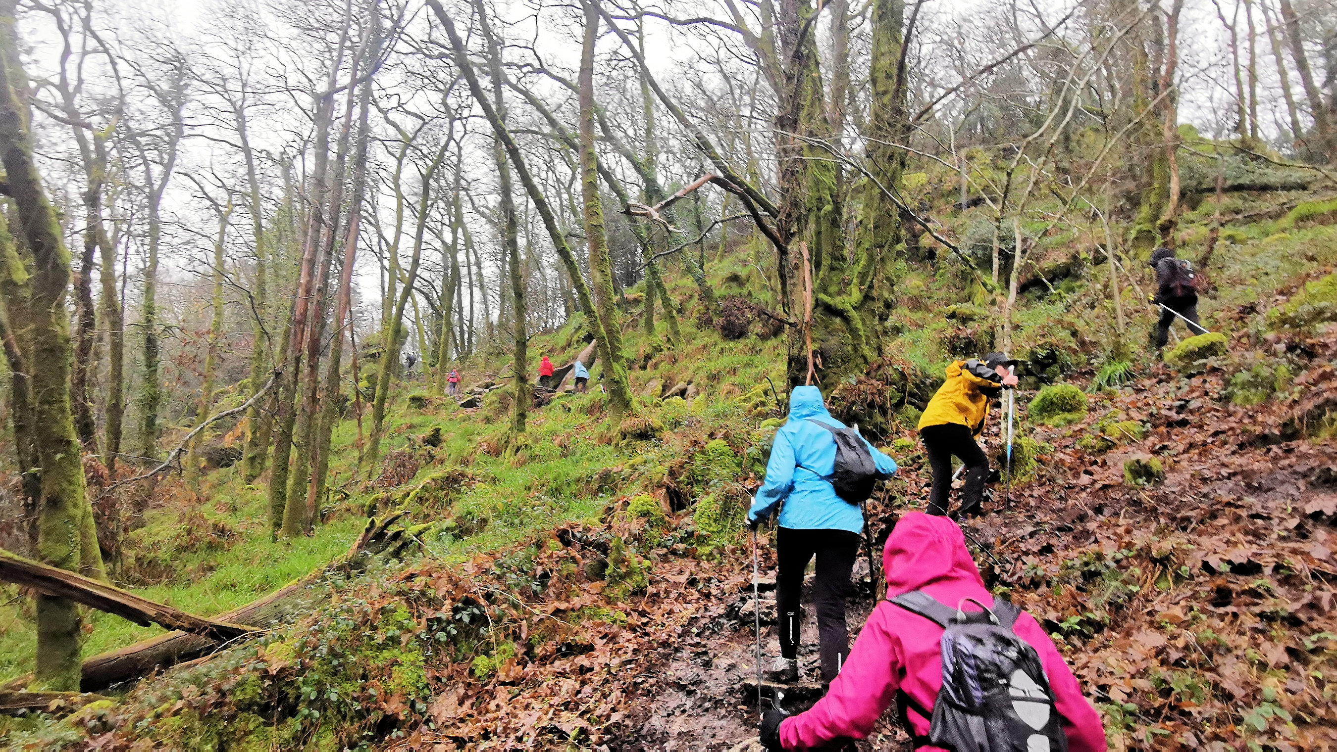 58-IMG_20210121_113023