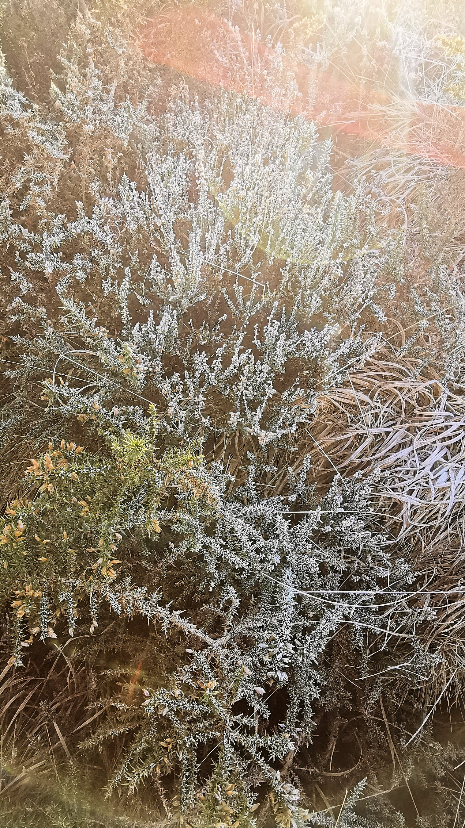 051-IMG_20210110_103752