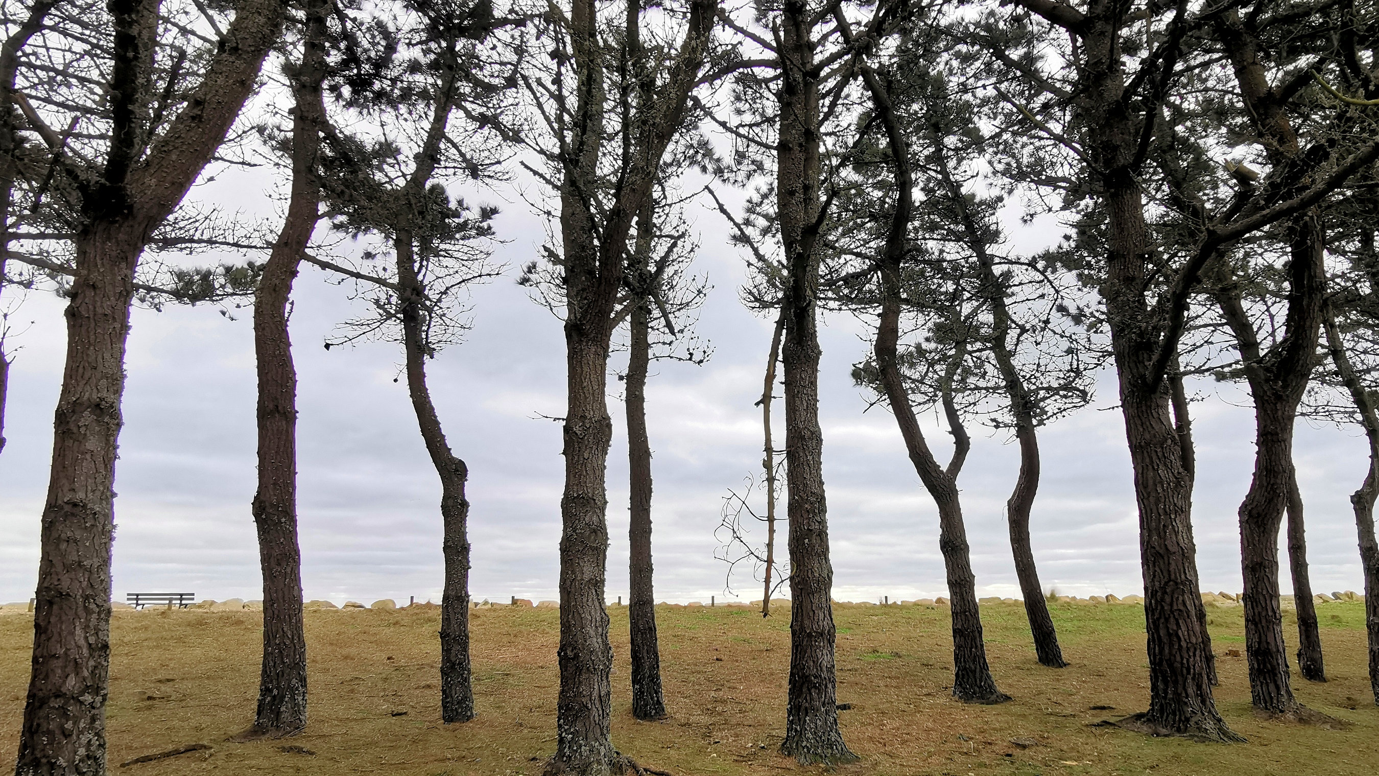 28-IMG_20210208_120105