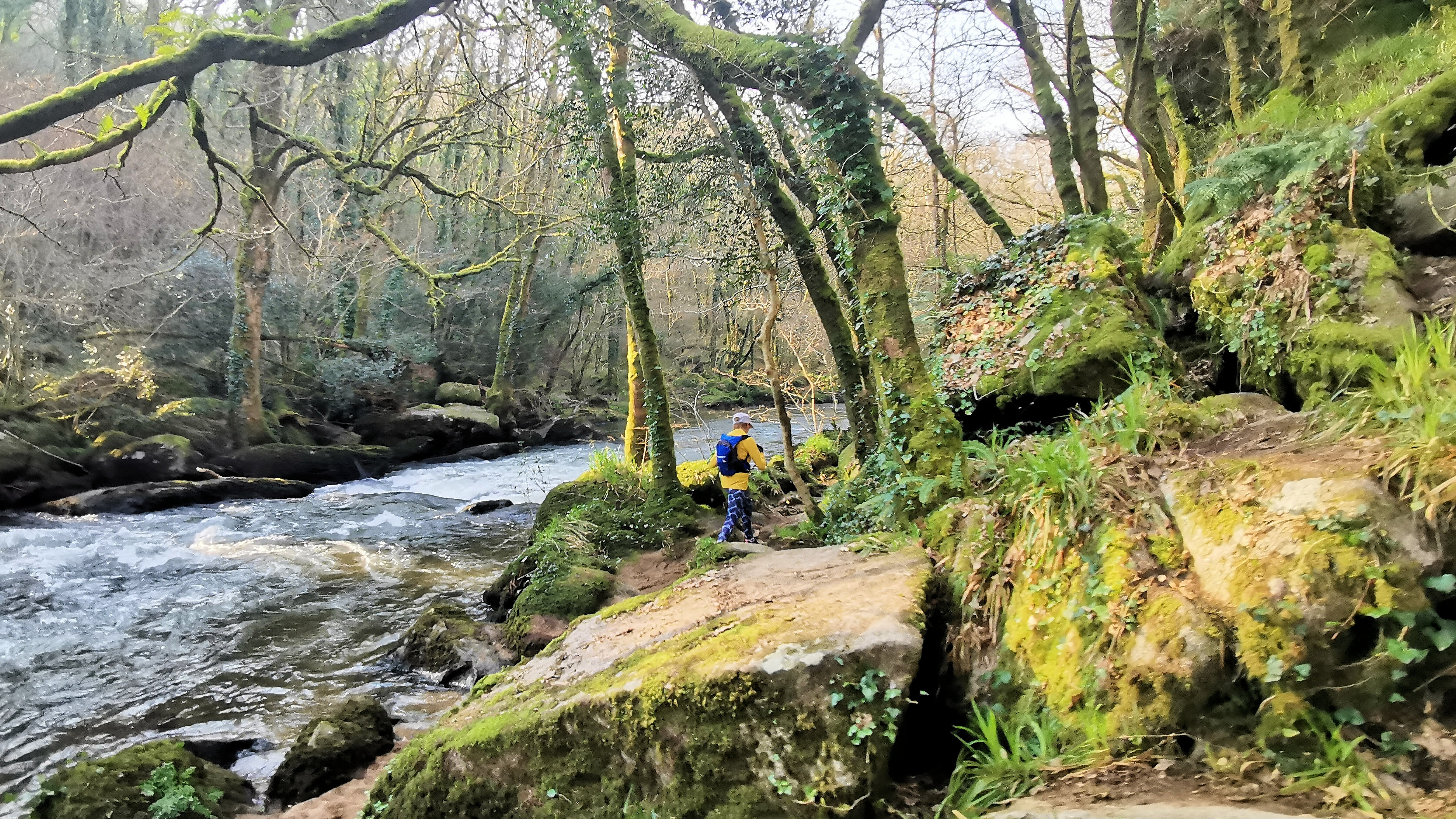 53-IMG_20210307_104133