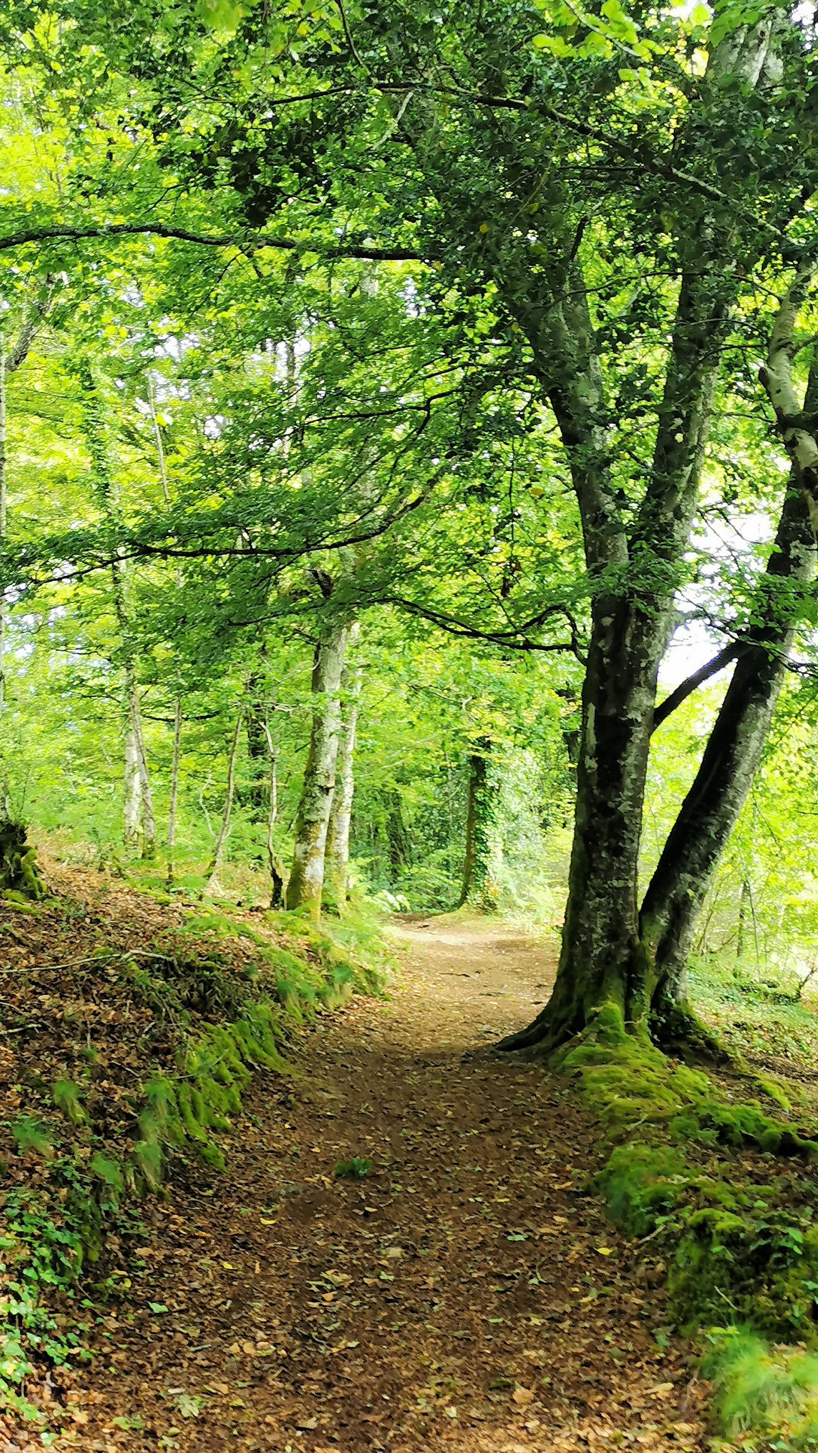 31-IMG_20210522_110259