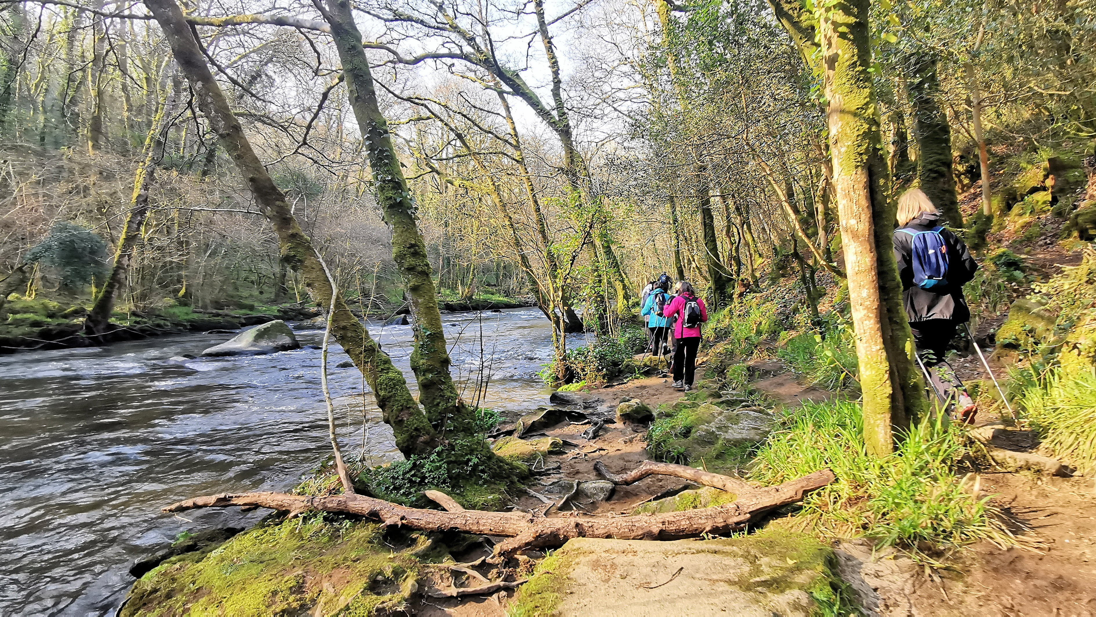 61-IMG_20210307_104255