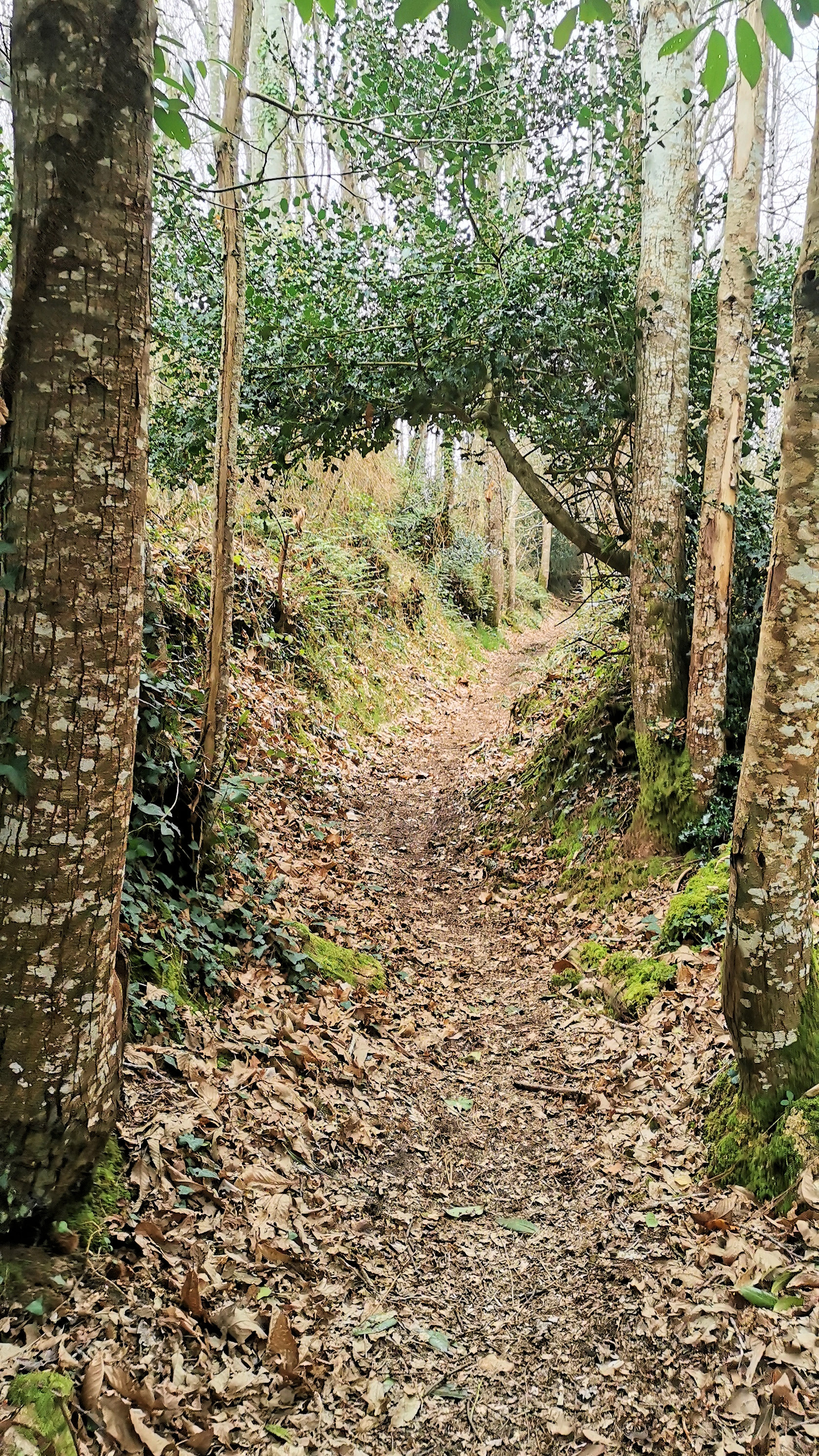 62-IMG_20210302_105404