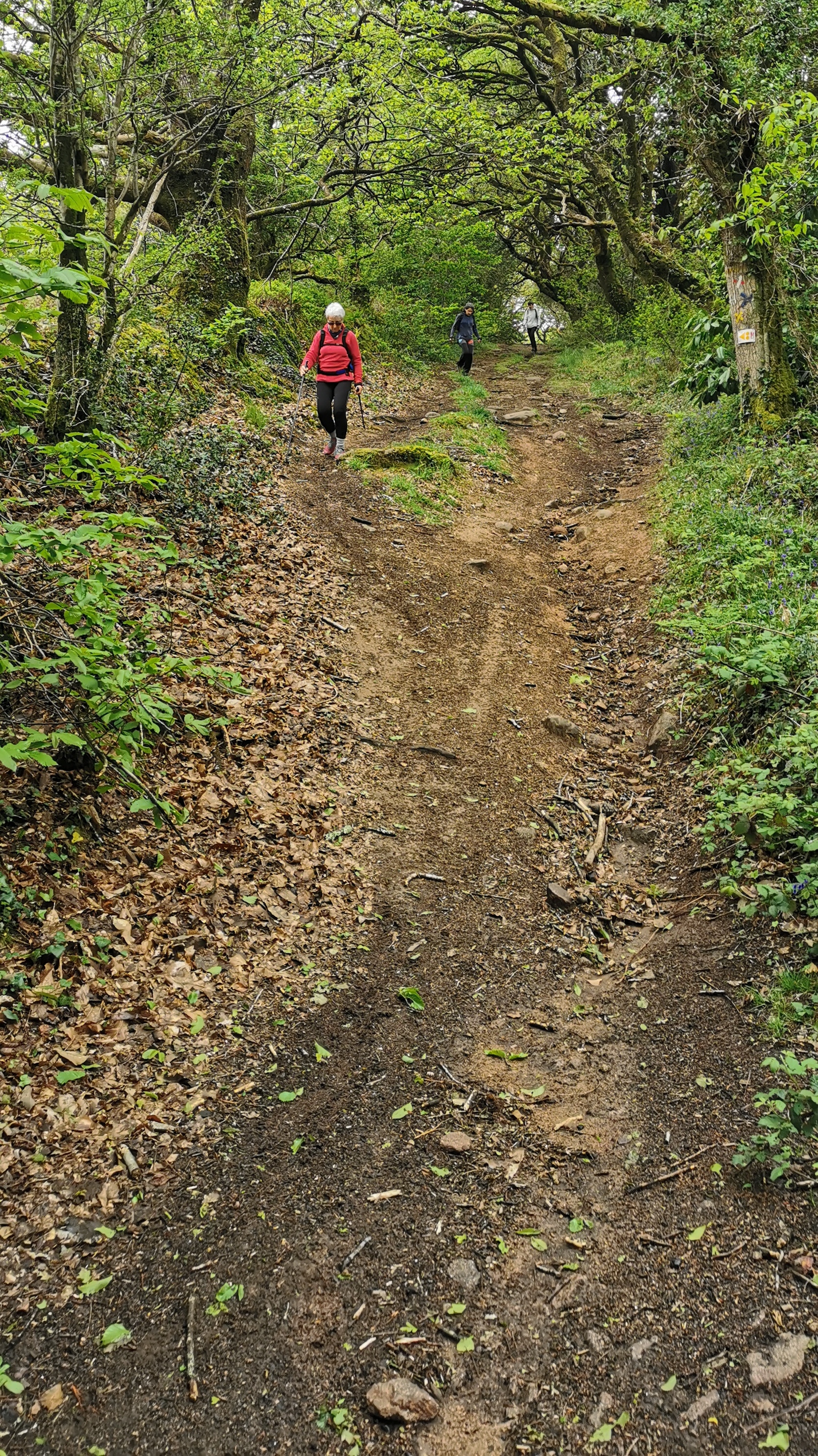 62-IMG_20210508_112514