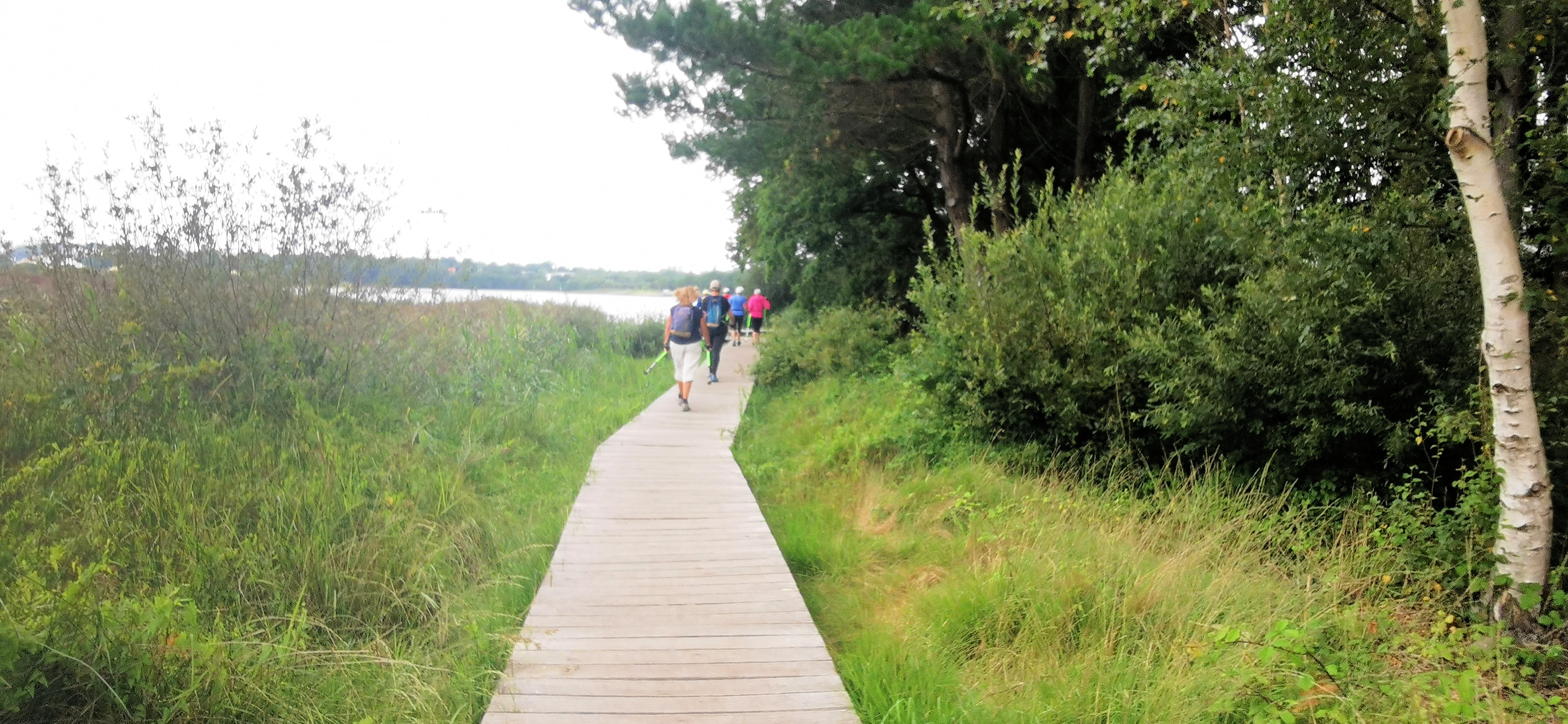 062-IMG_20210817_102537_1