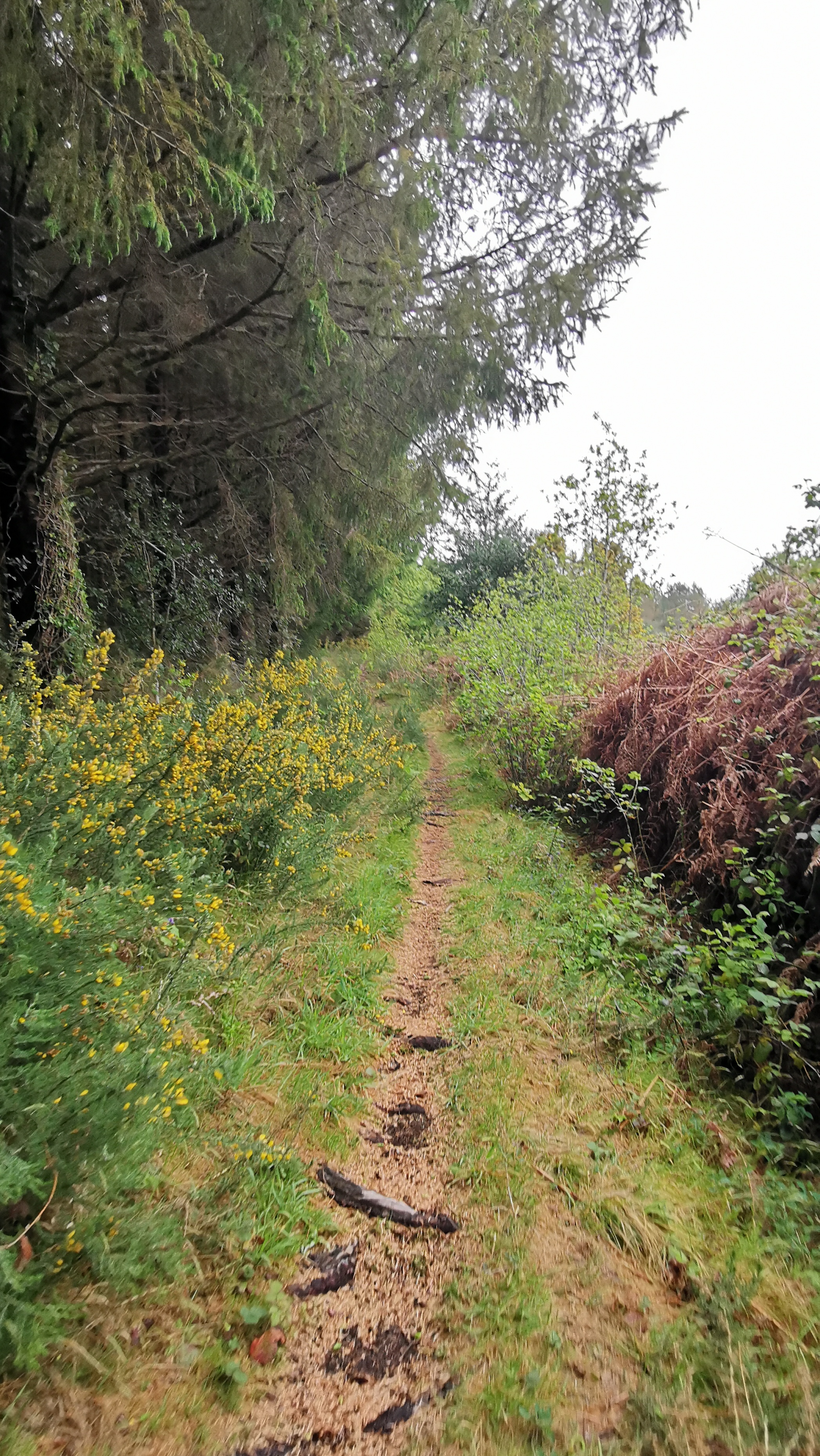 43-IMG_20210508_110237