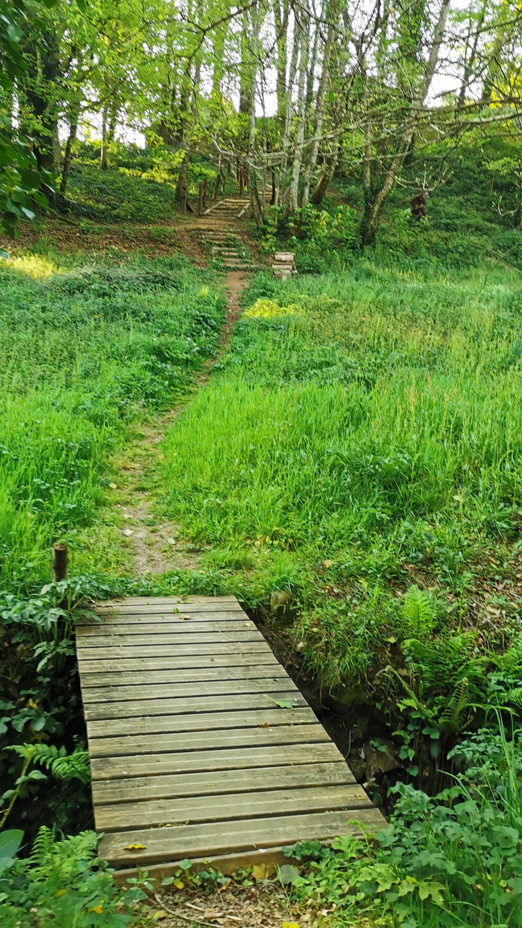 03-IMG_20210425_094820