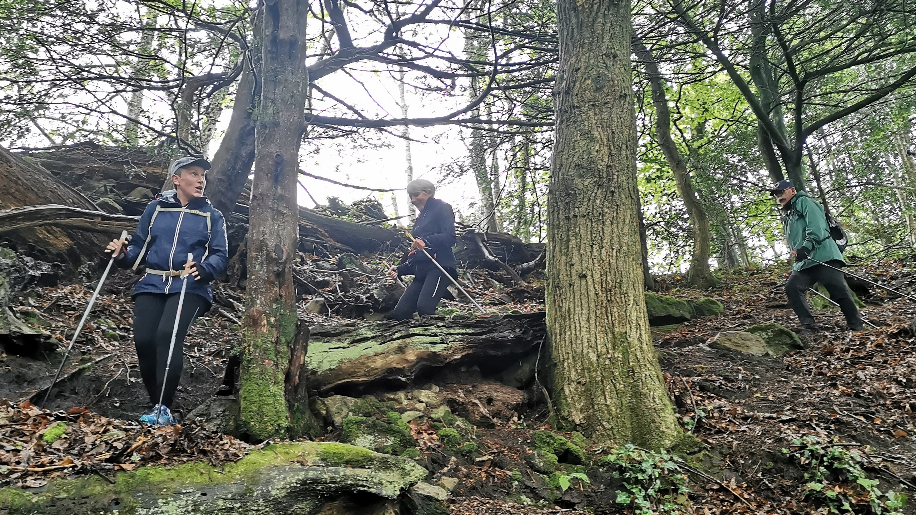 015-IMG_20210513_094617_1