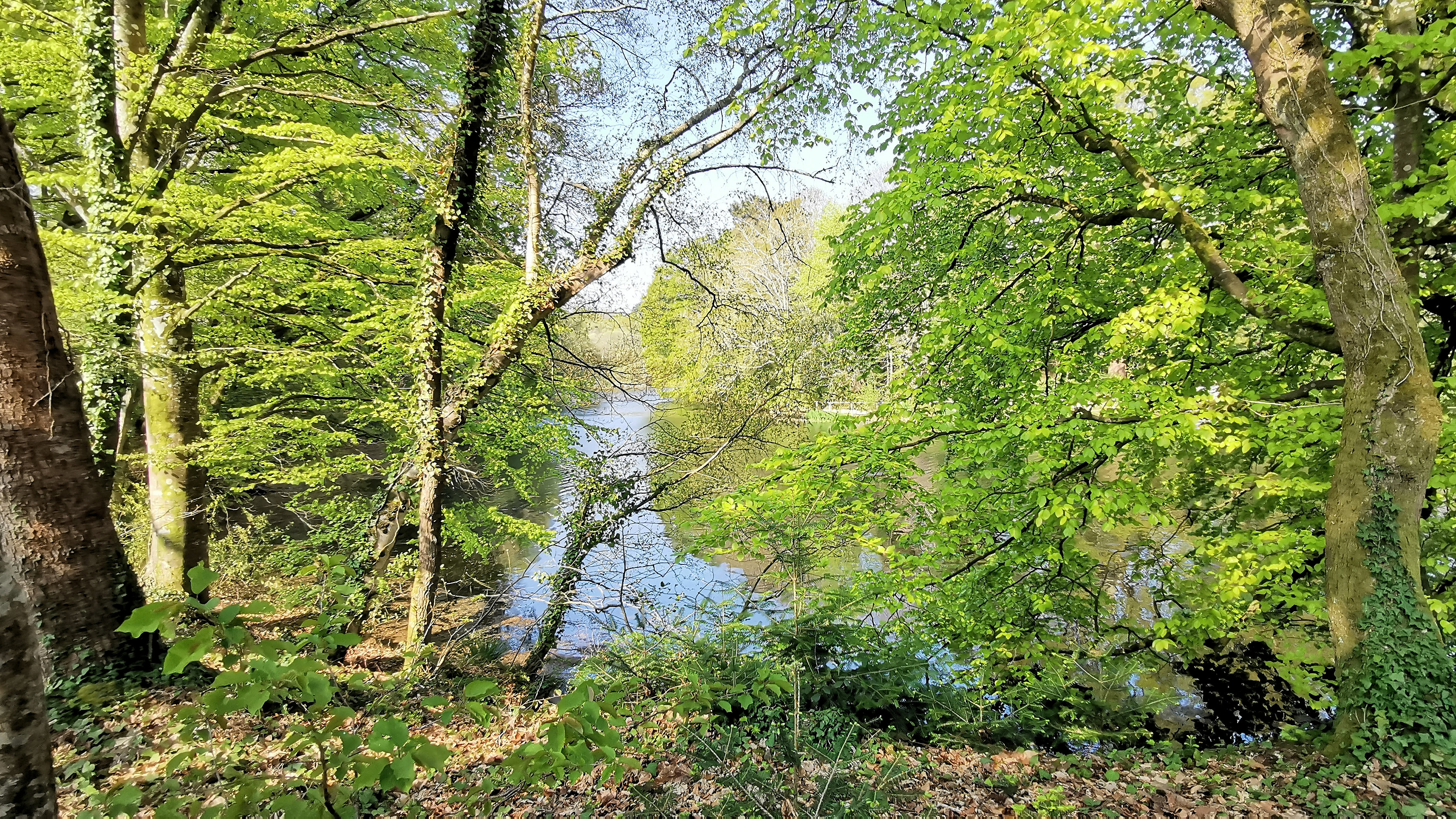 36-IMG_20210422_110157