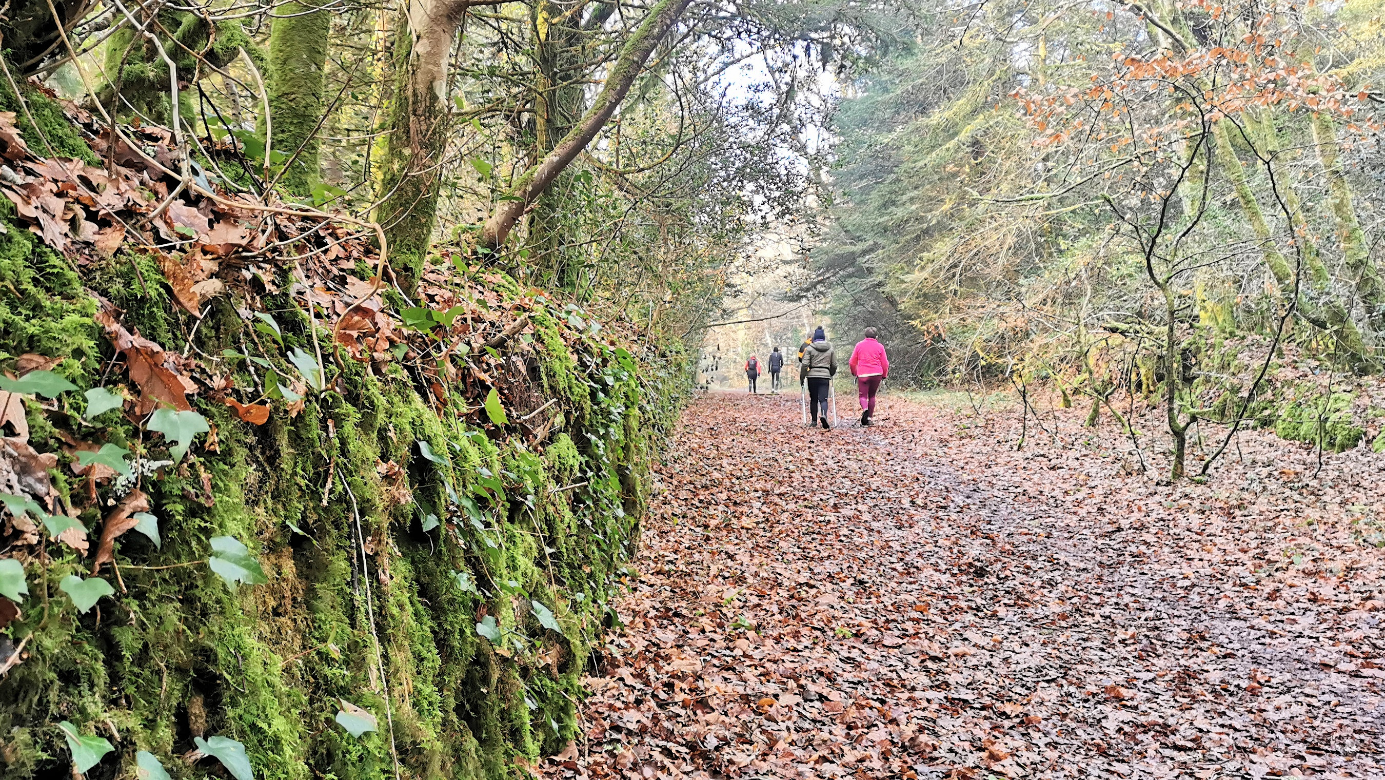 43-IMG_20210107_105448