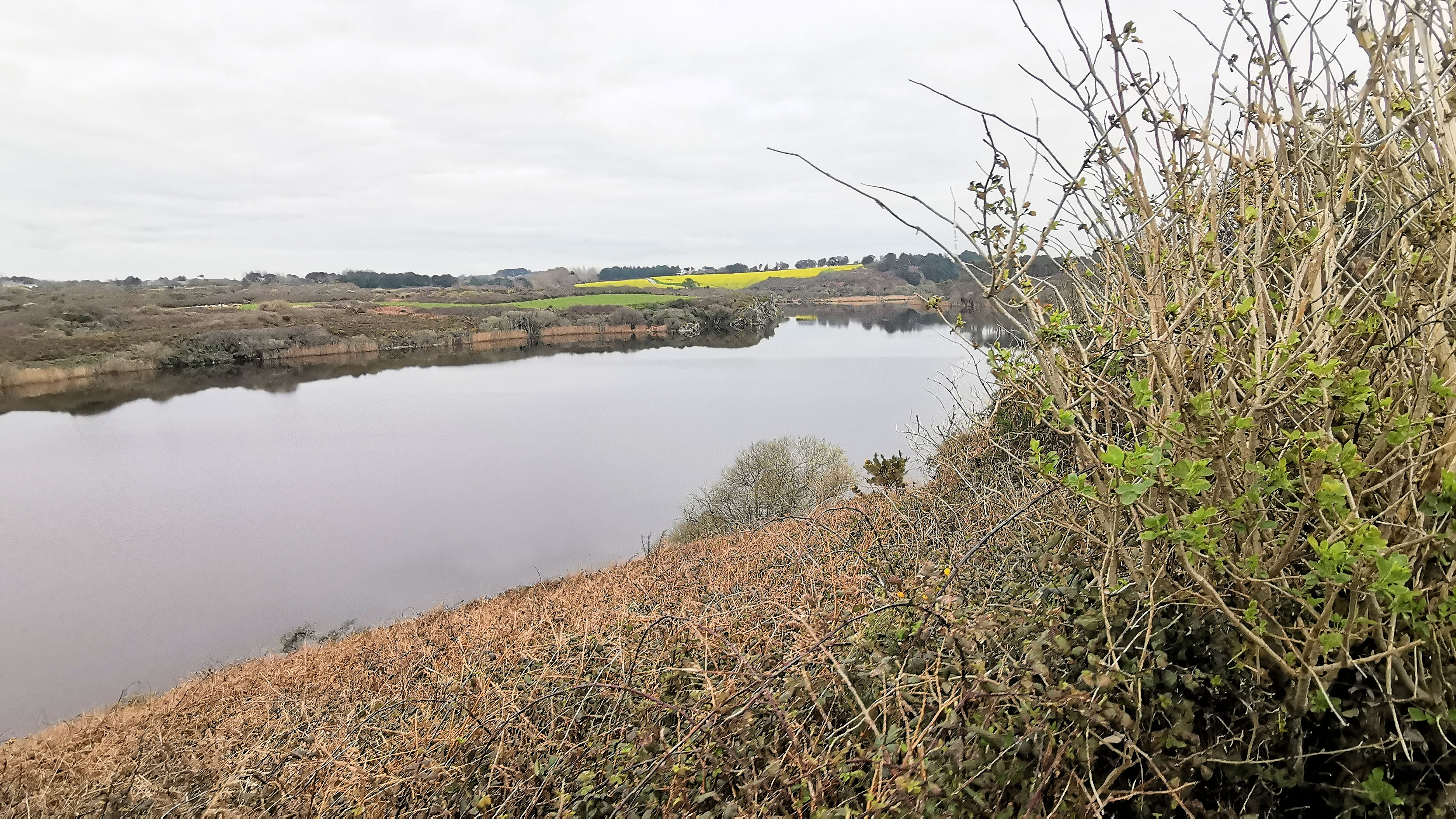 18-IMG_20210321_100046