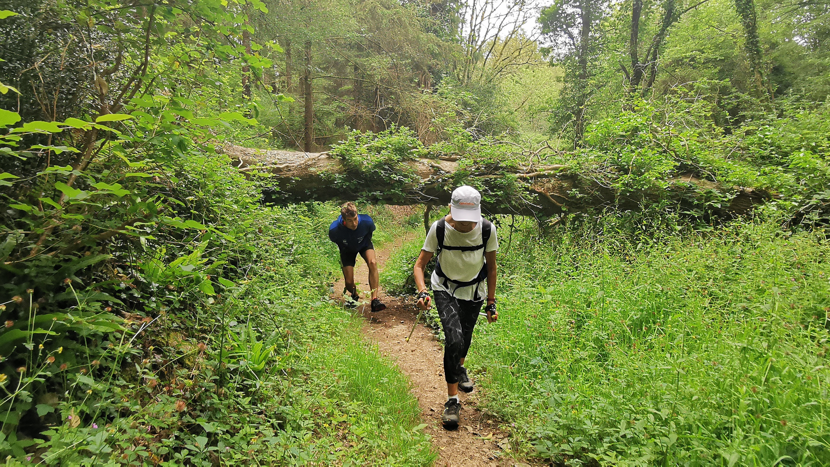 029-IMG_20210606_095504