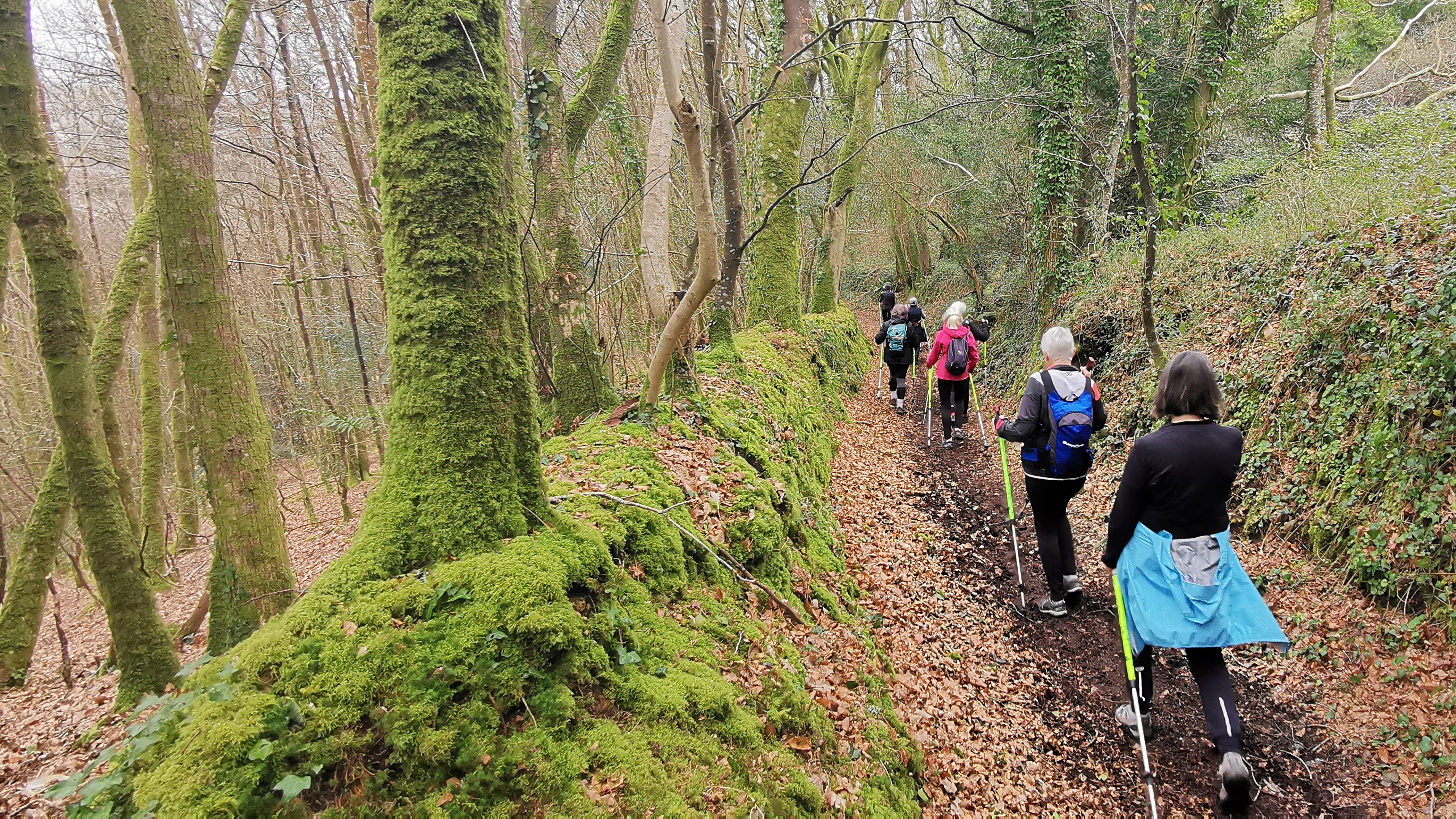 36-IMG_20210316_104602