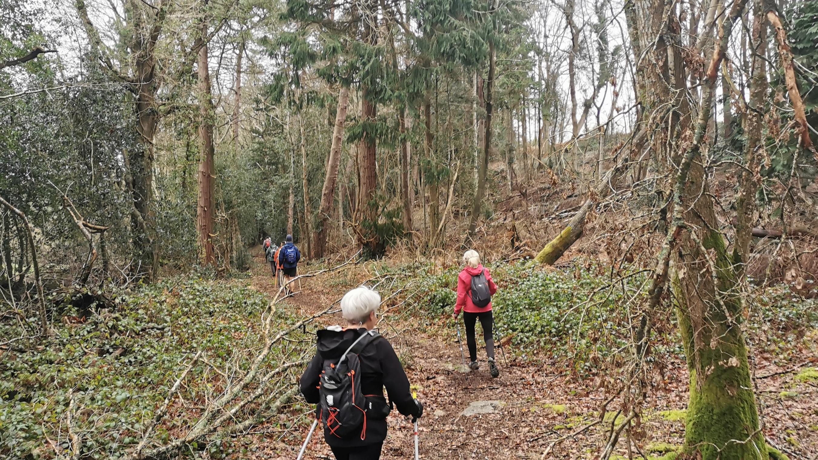 026-IMG_20210220_104104