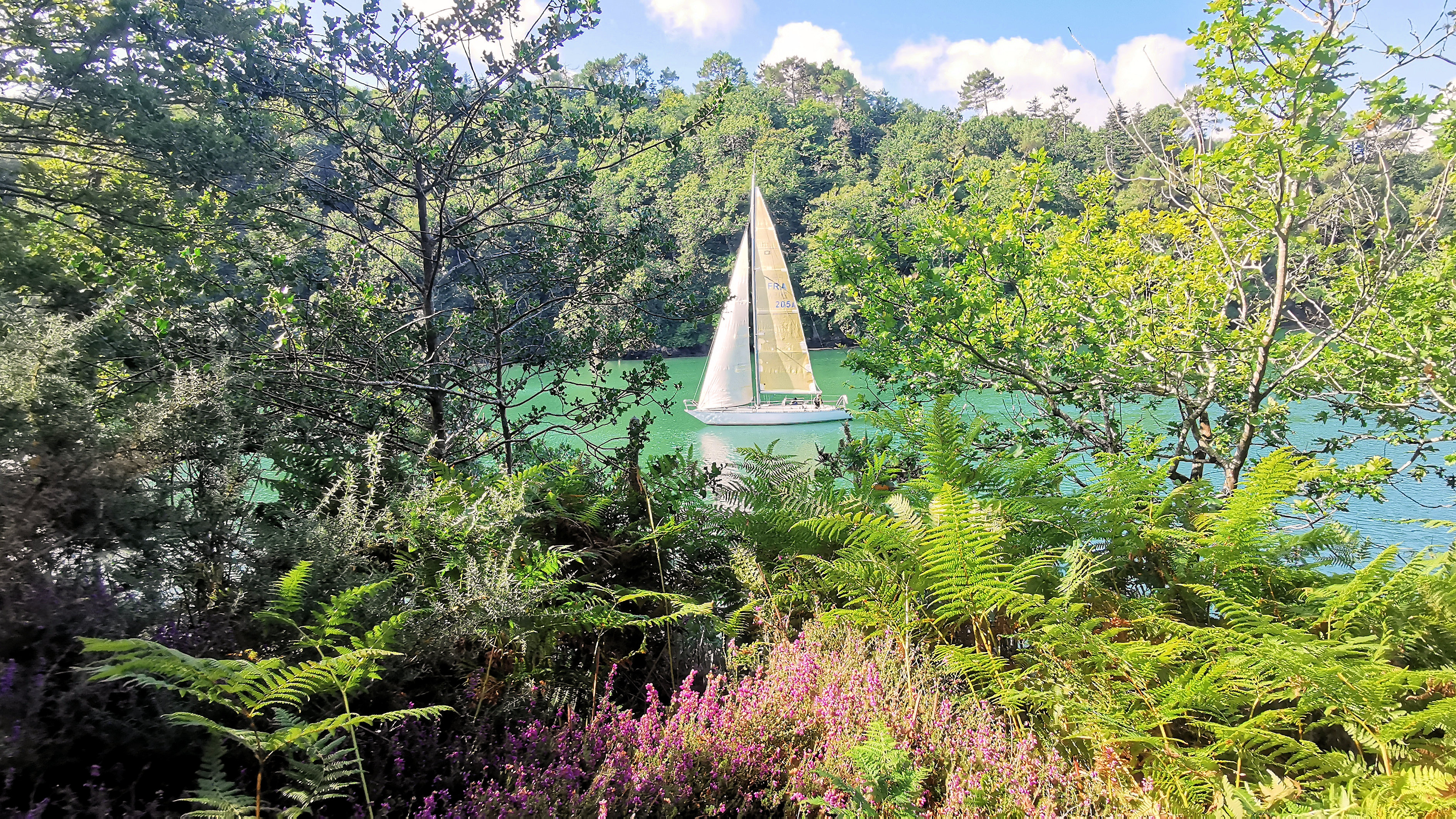 031-IMG_20210816_113328