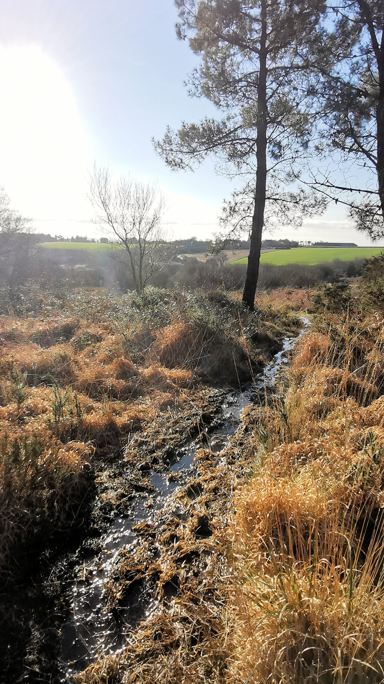 150-IMG_20210110_114129