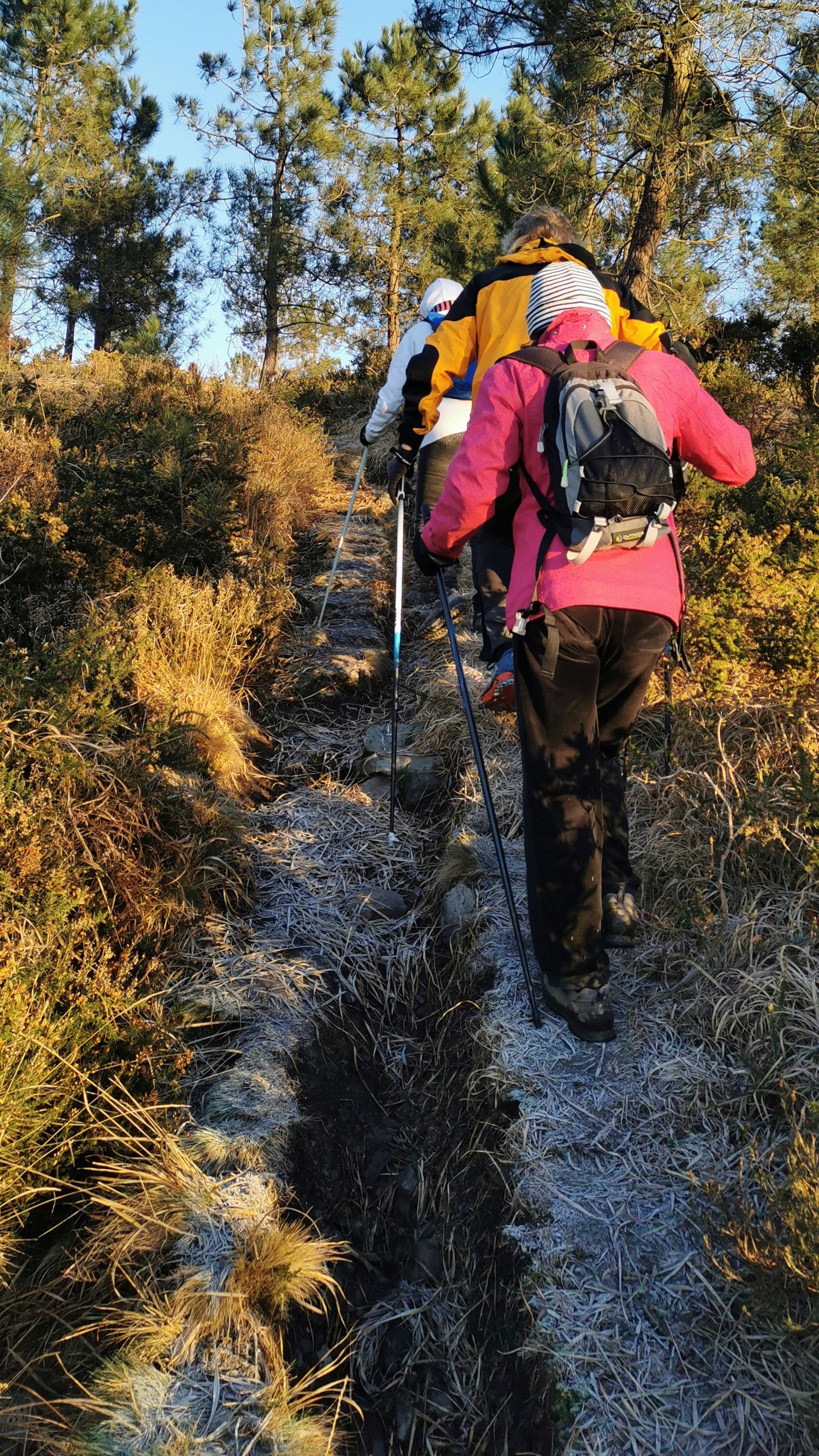 010-IMG_20210110_094812