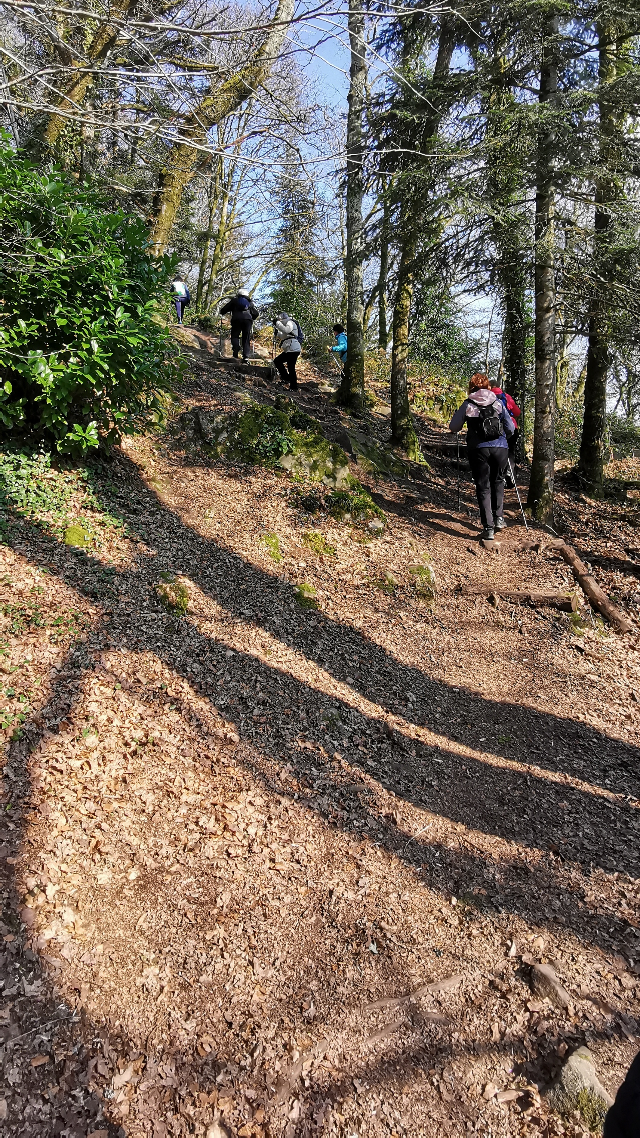 63-IMG_20210308_112236