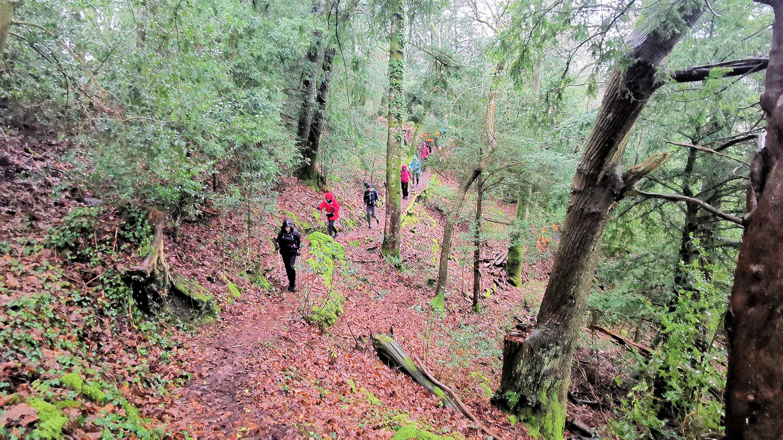 67-IMG_20210121_113548