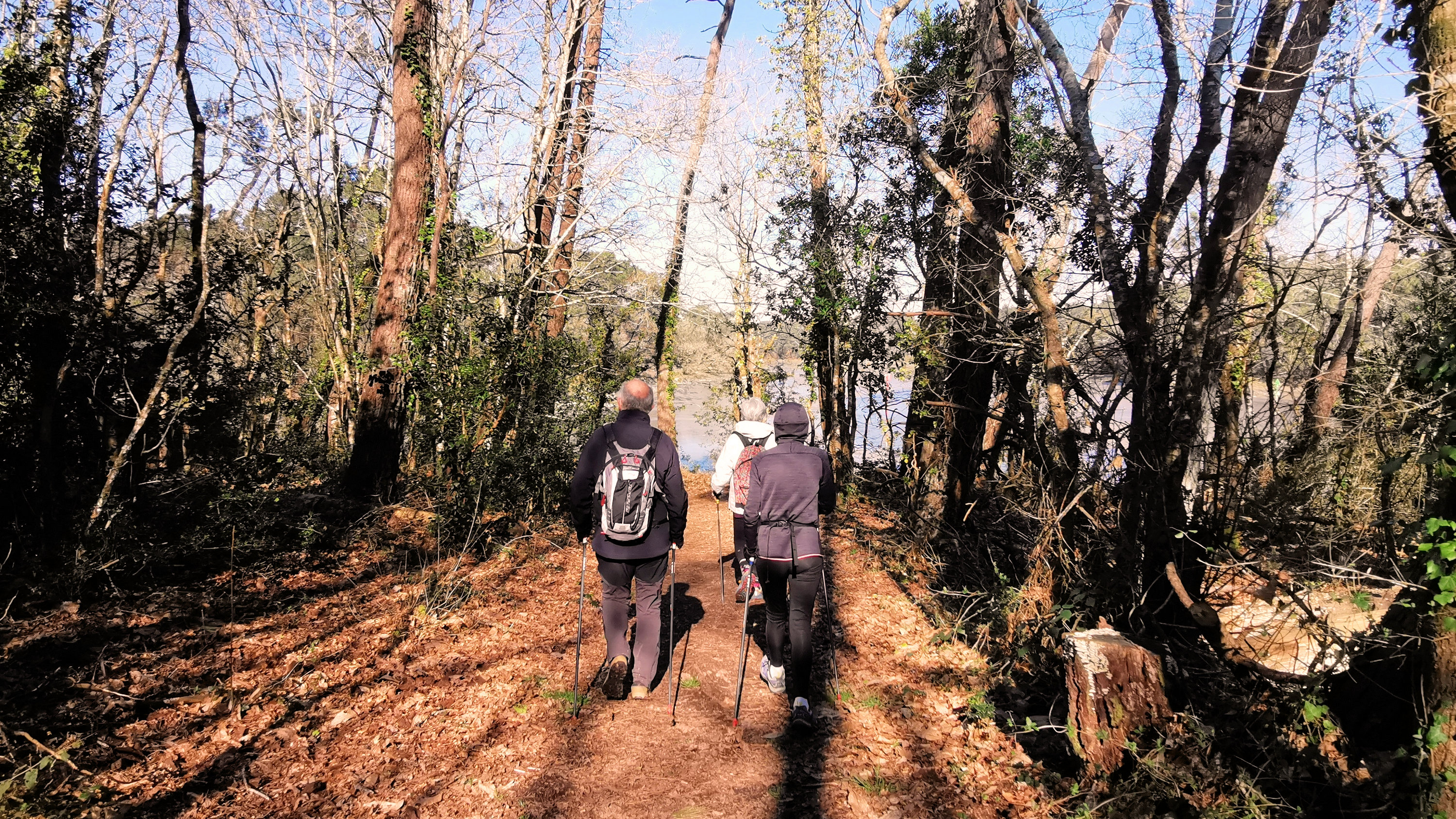 100-IMG_20210228_113513