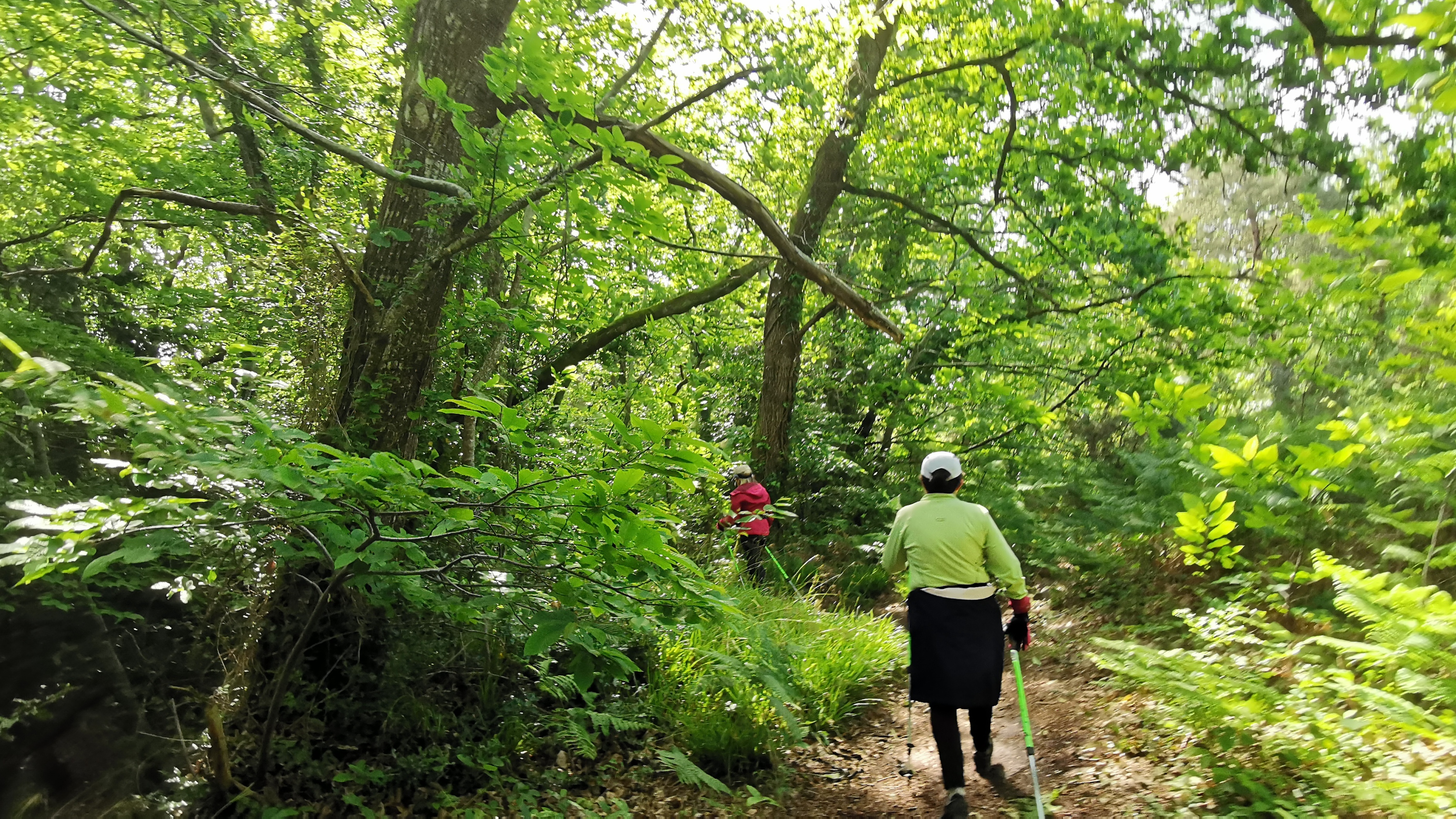 42-IMG_20210525_105557_1