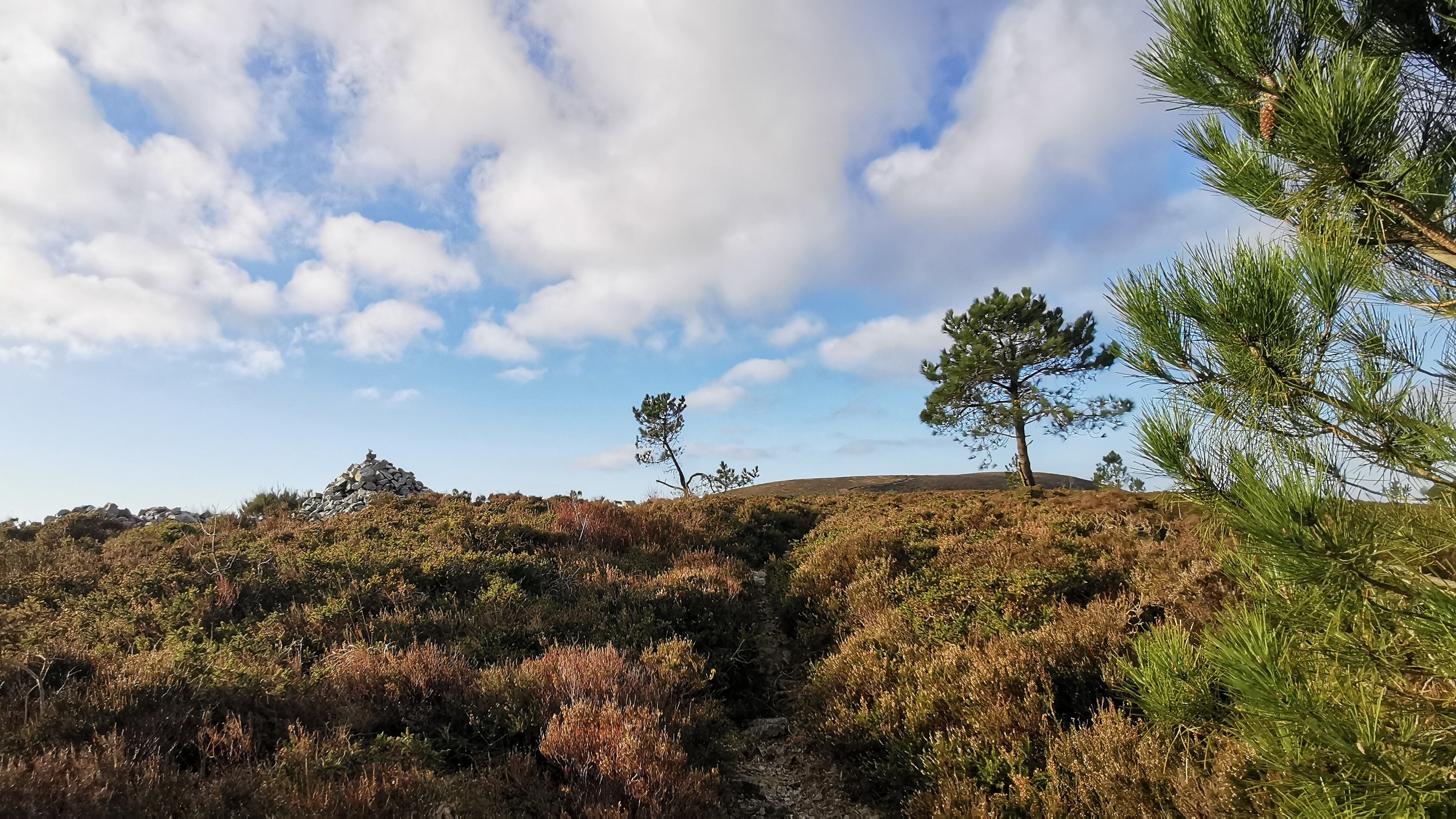 097-IMG_20210110_105925_1