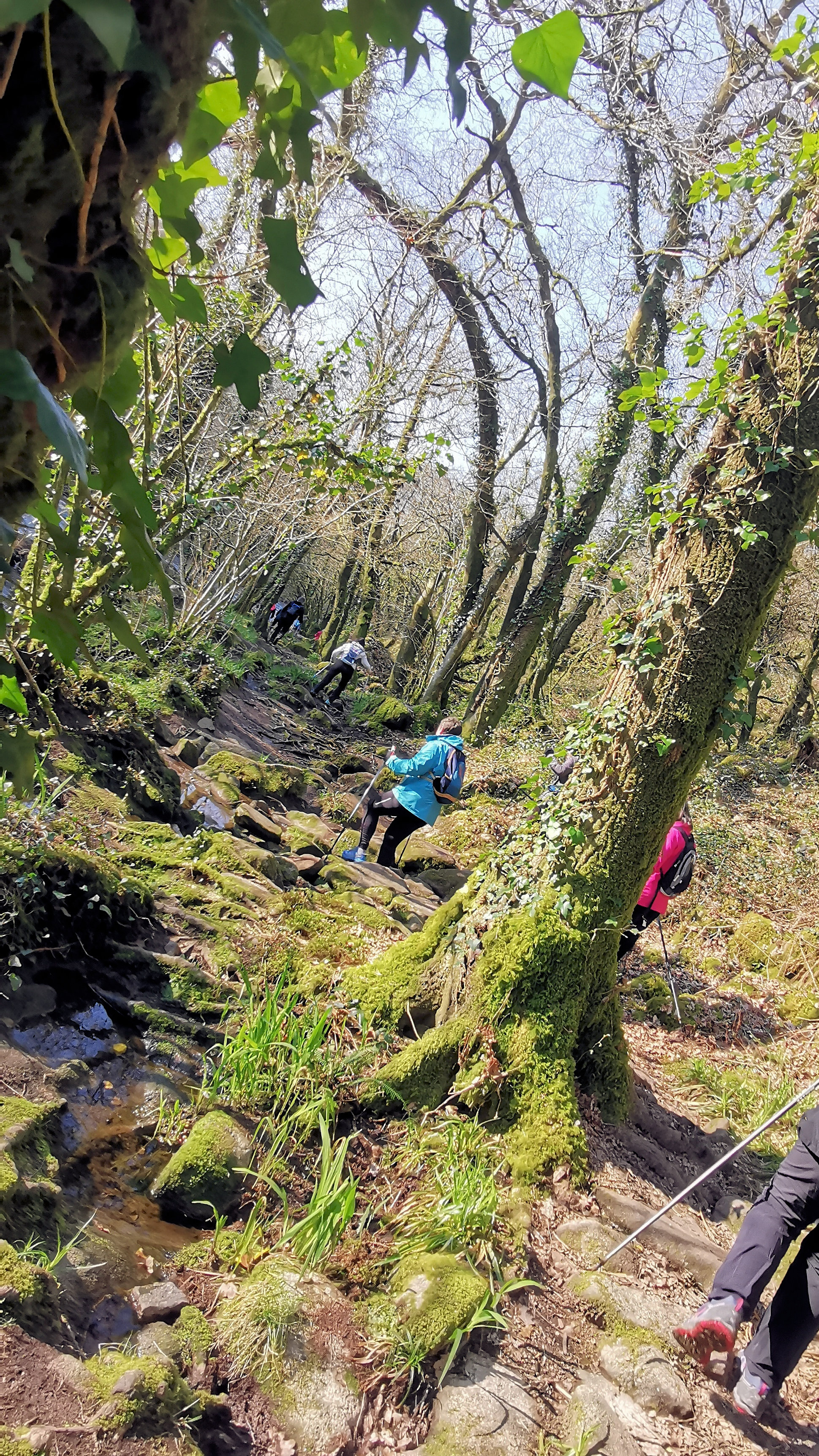 64-IMG_20210307_104638