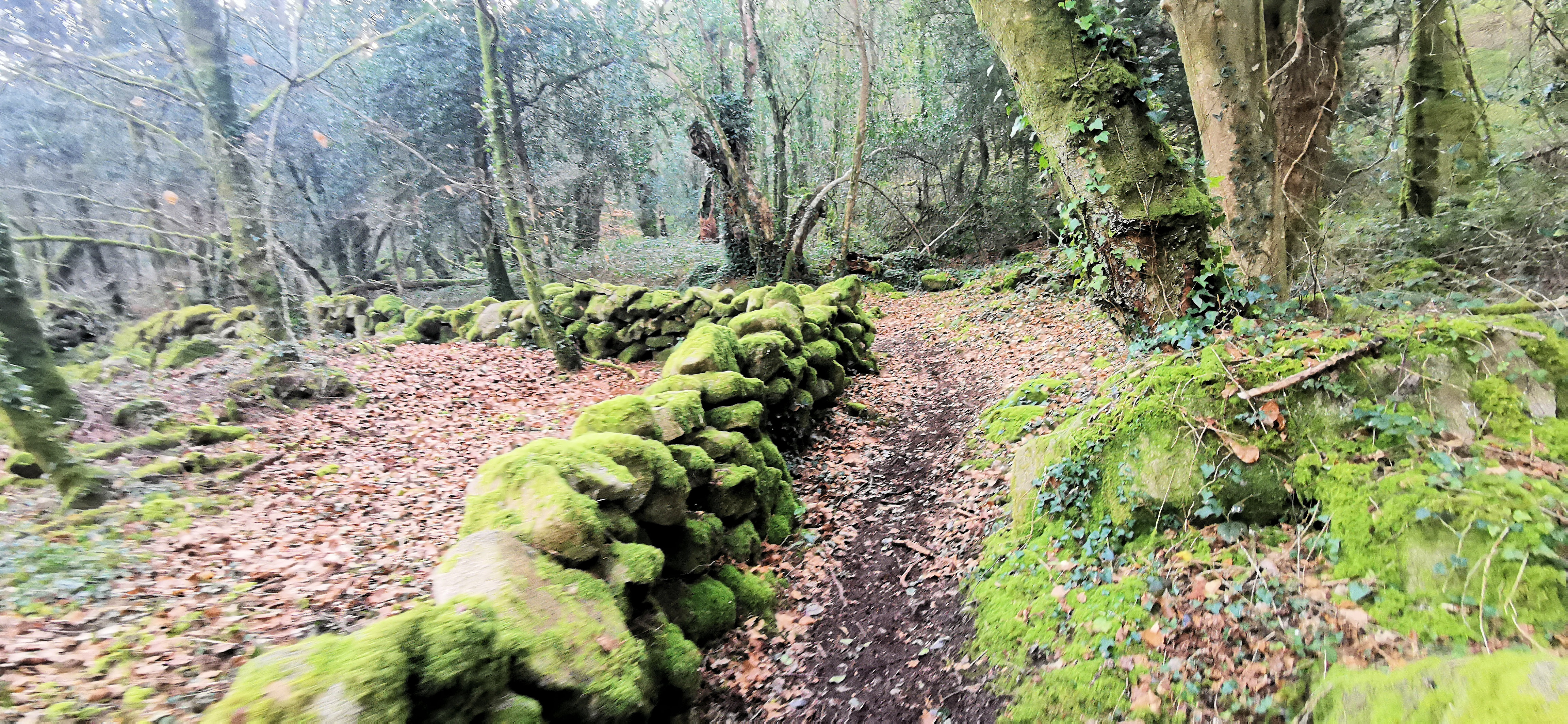 19-IMG_20210307_100936