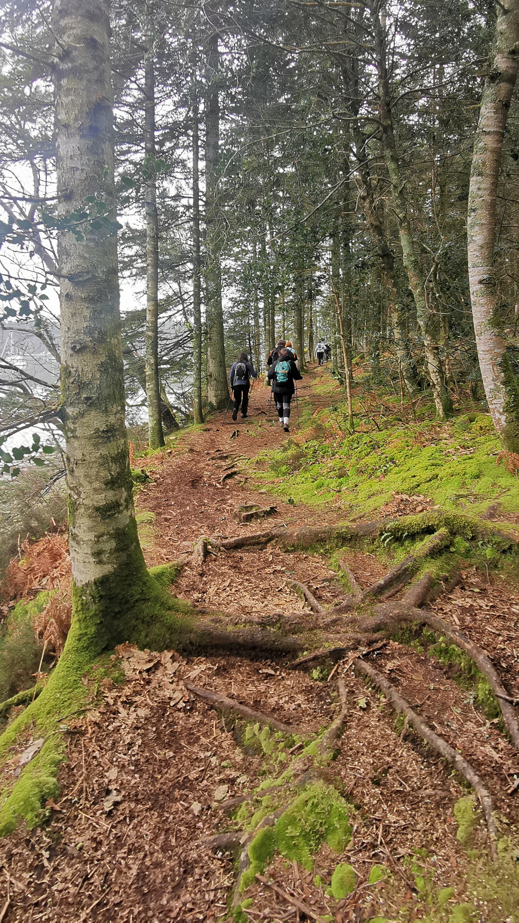 55-IMG_20210304_111731