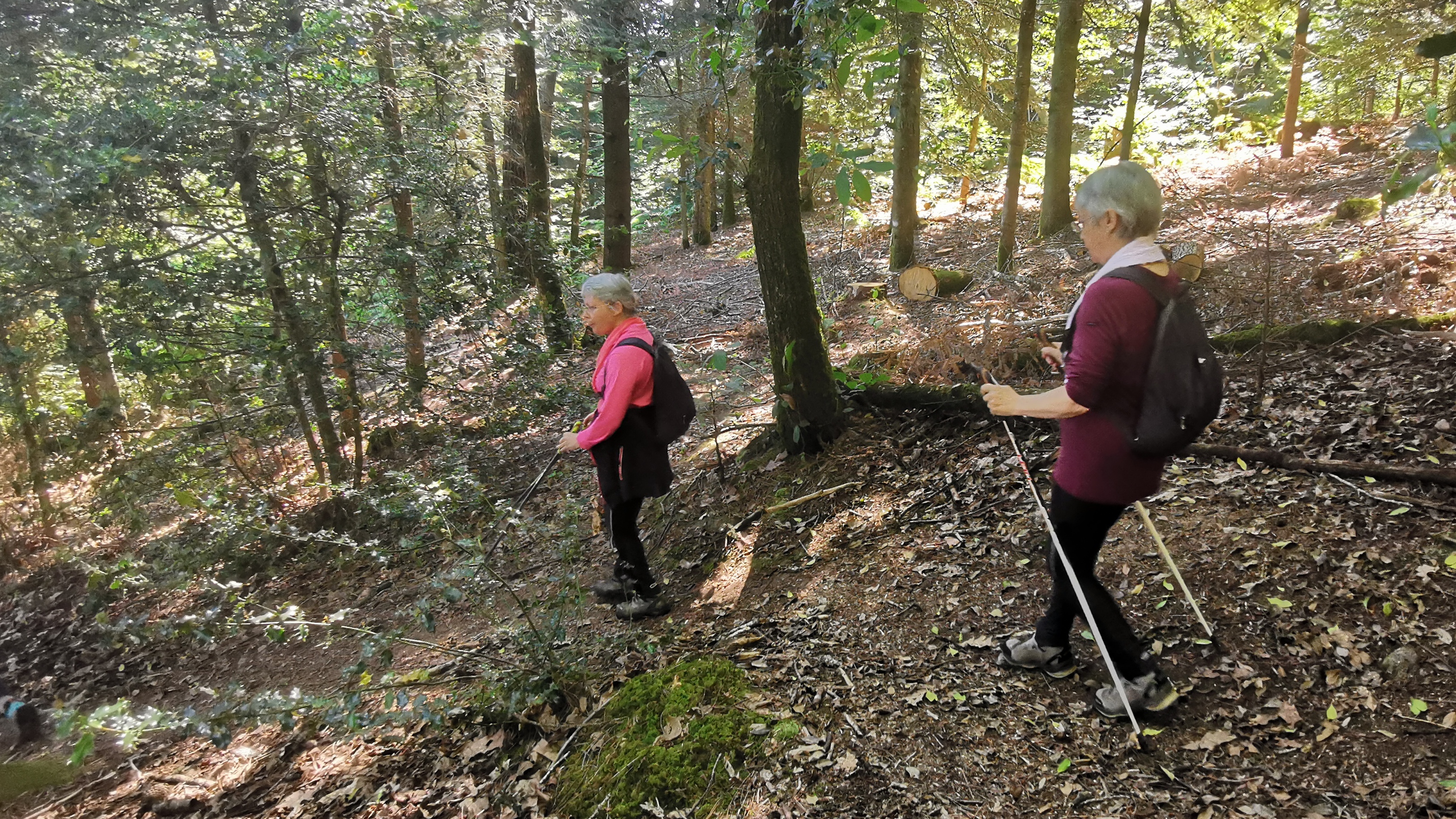 21-IMG_20210614_111908