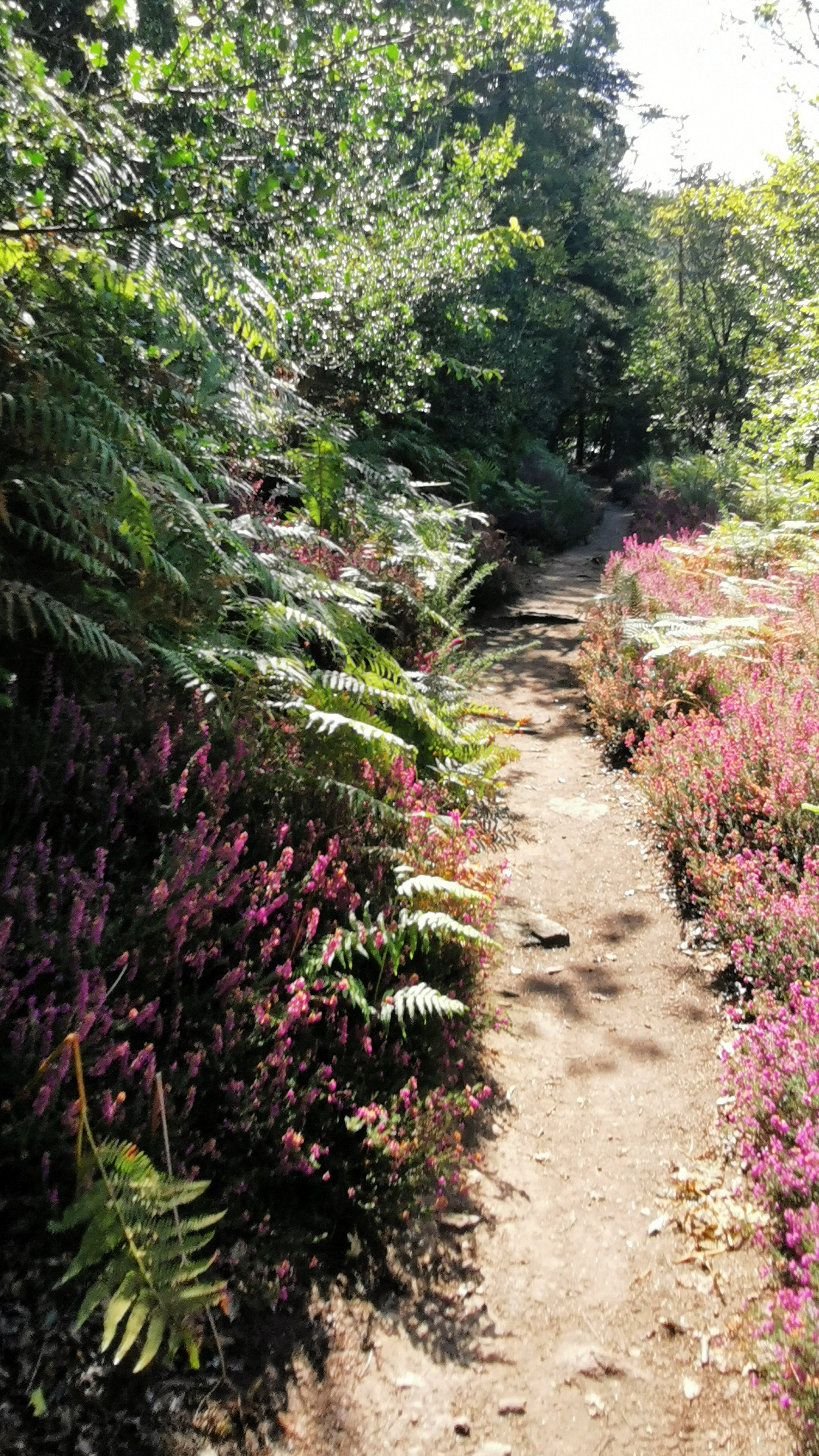 029-IMG_20210816_113255_1