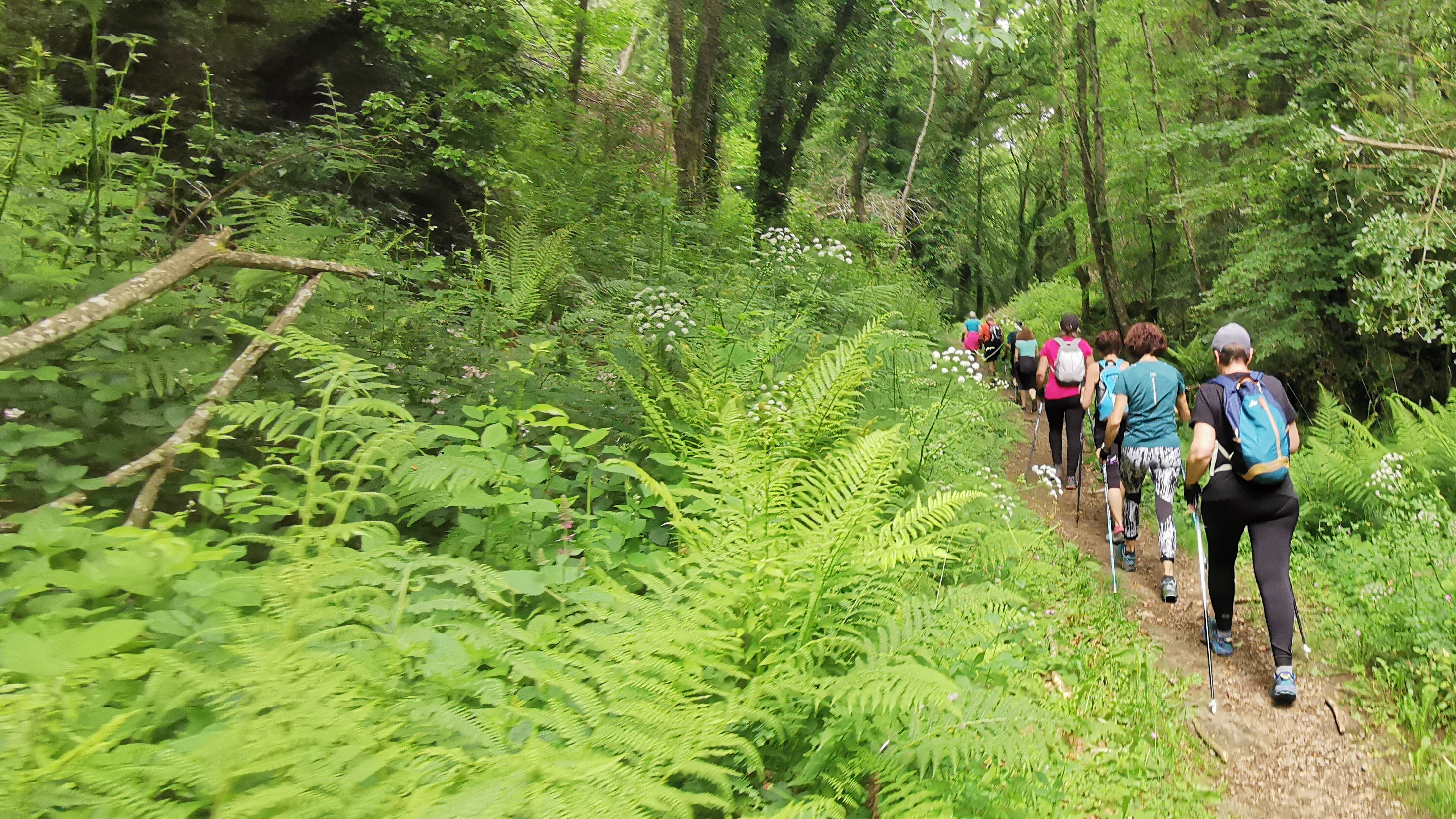 101-IMG_20210606_113500