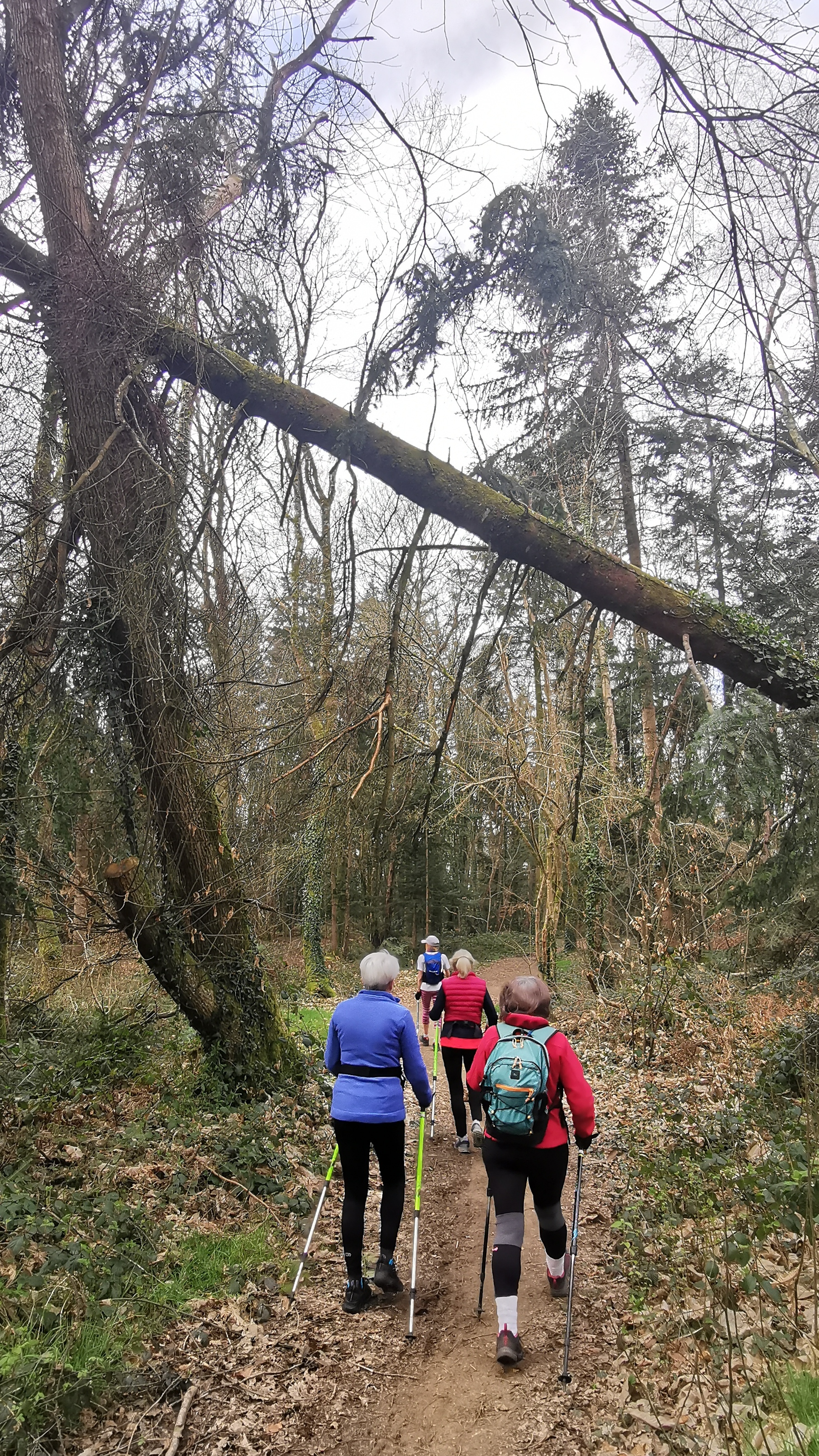 11-IMG_20210323_103657_1