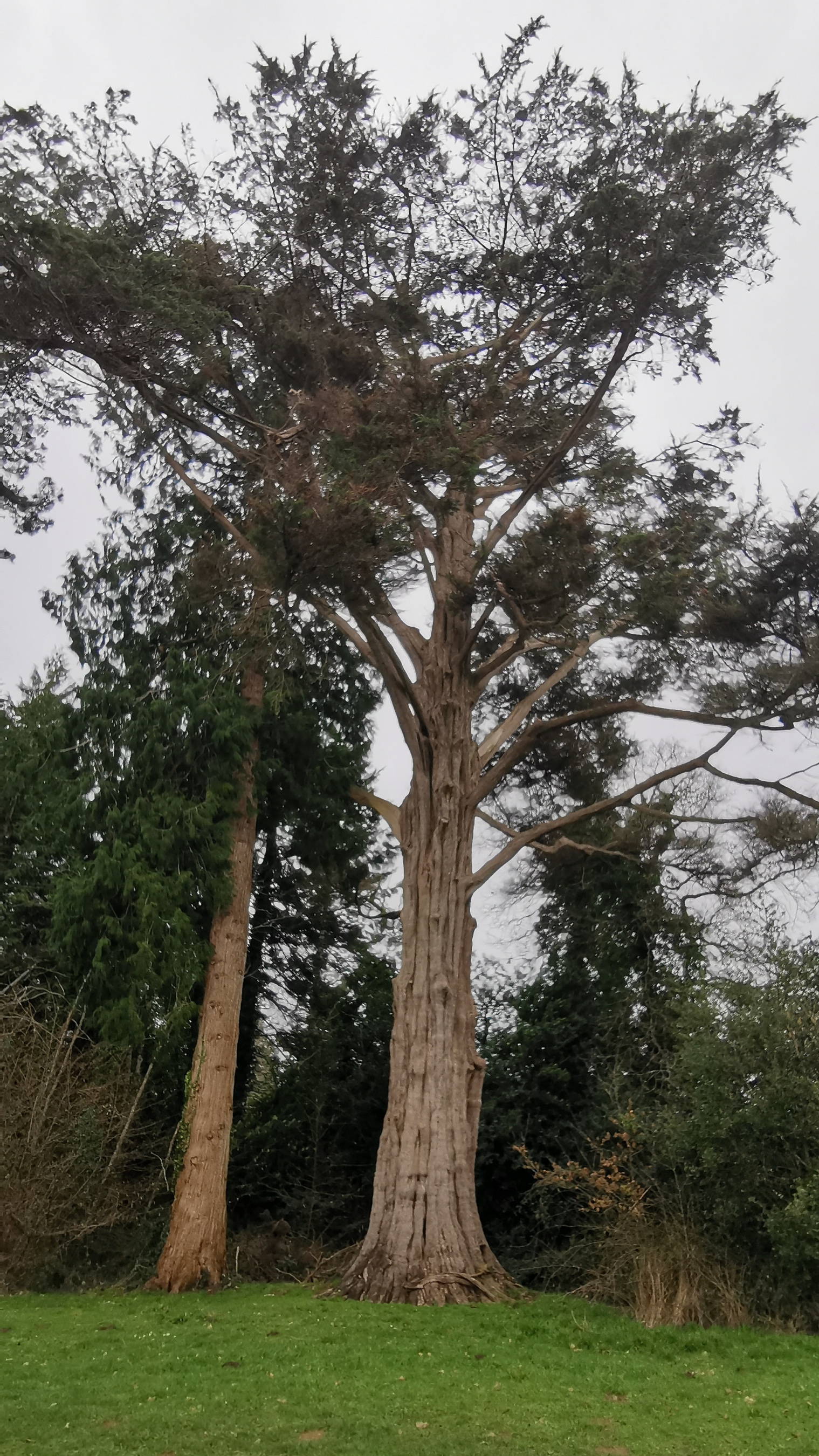 142-IMG_20210220_123755