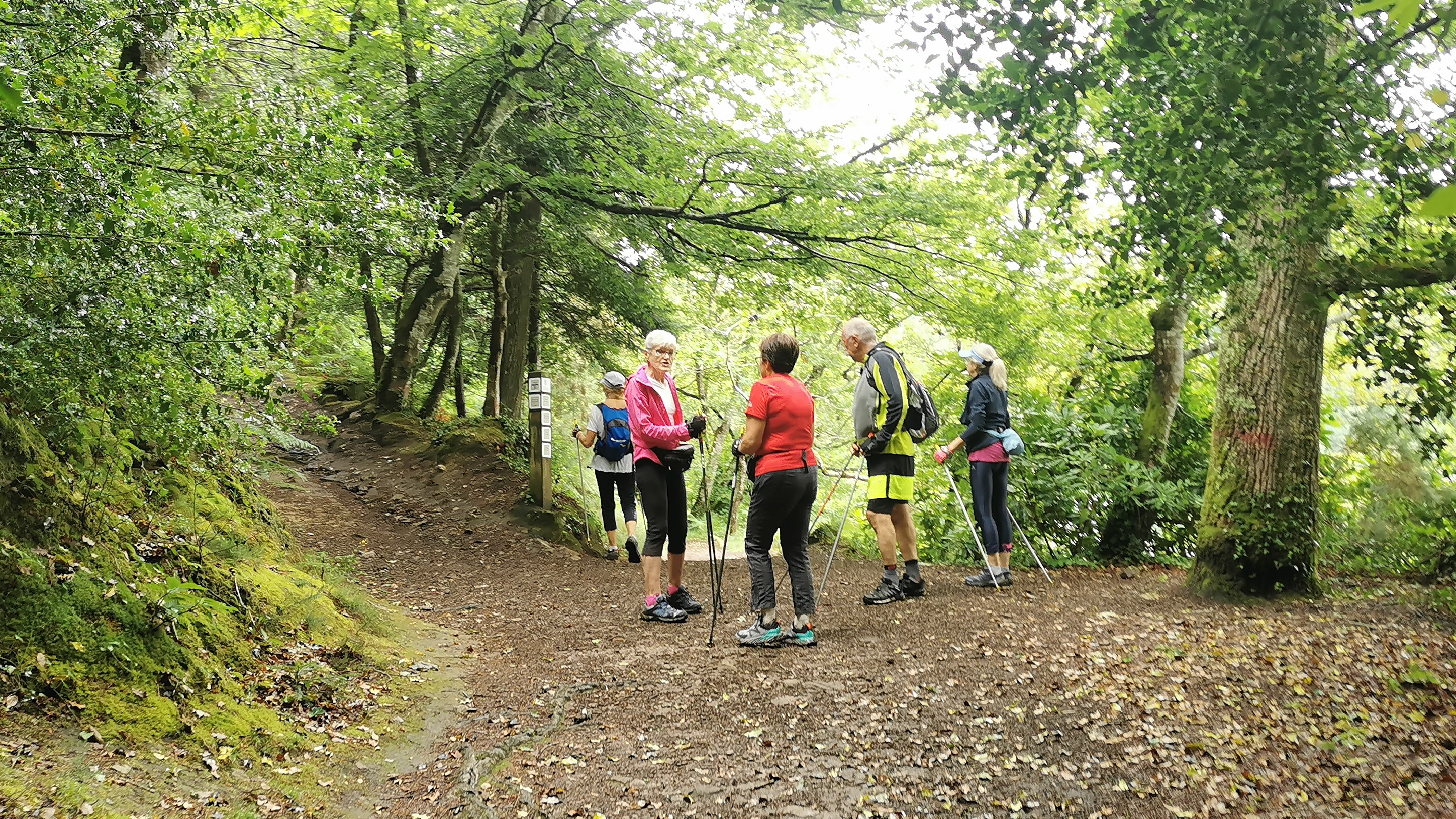 45-IMG_20210617_112325_1