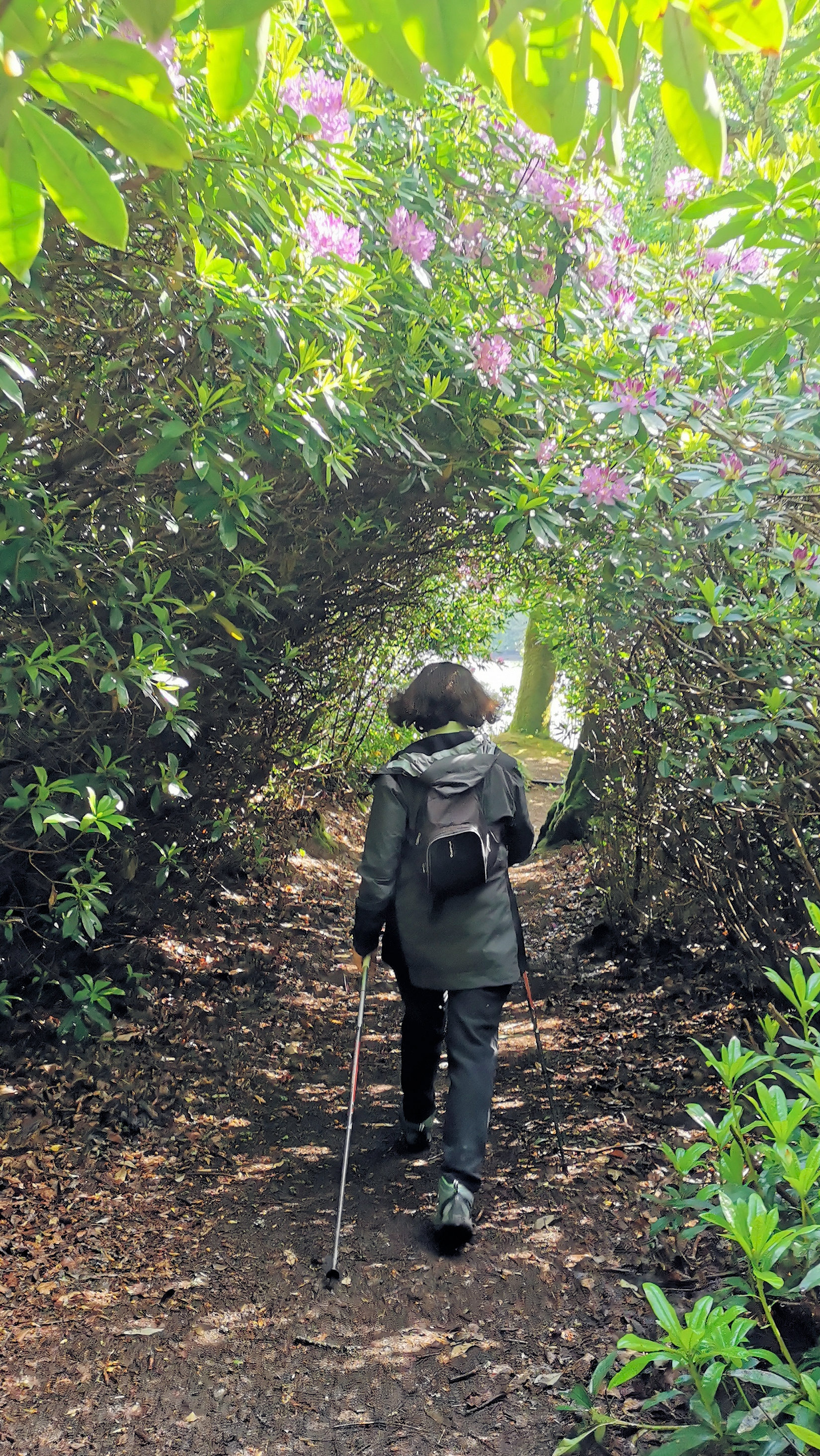 10-IMG_20210522_104707