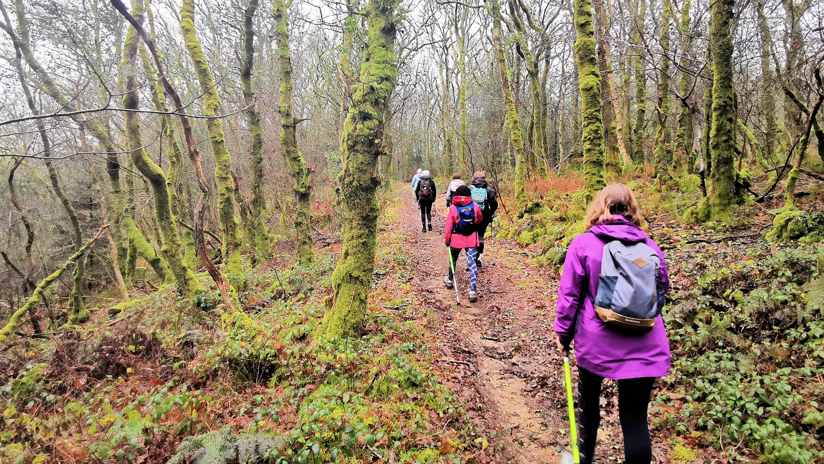 09-IMG_20210119_102506