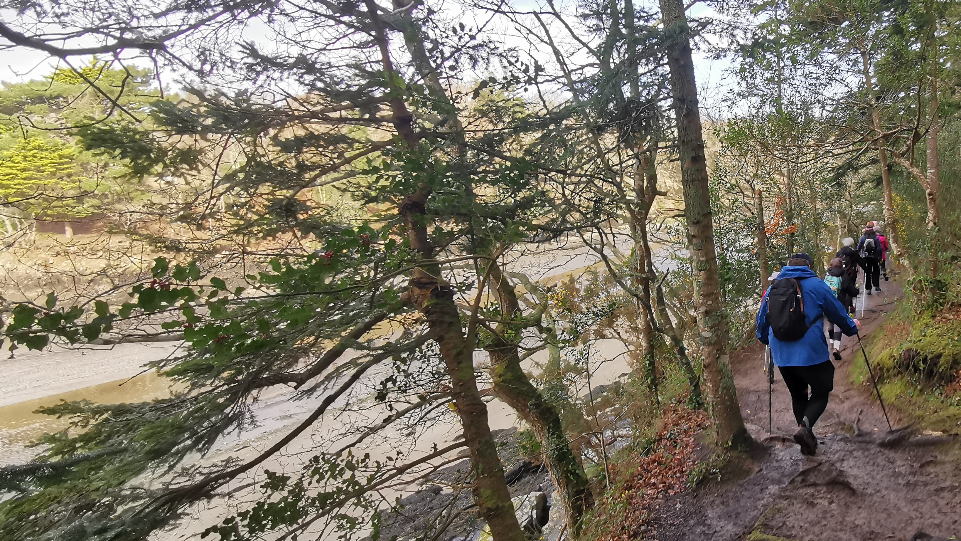 42-IMG_20210311_105707