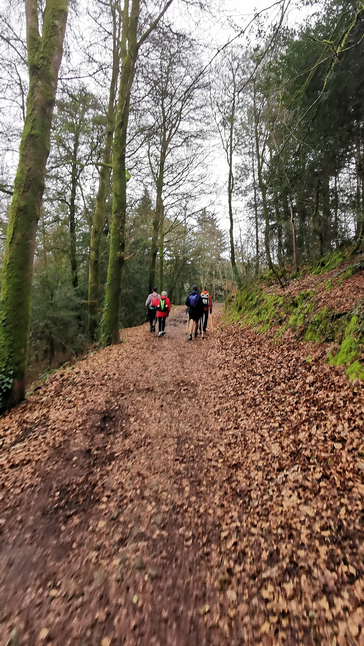 111-IMG_20210220_120641_1