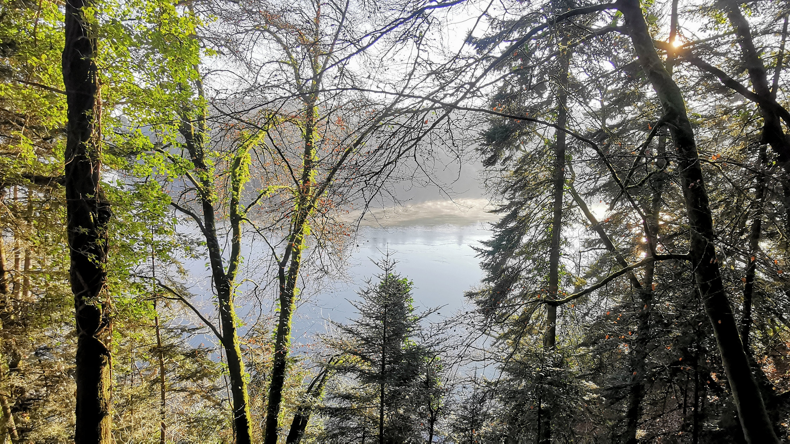 19-IMG_20210109_104229