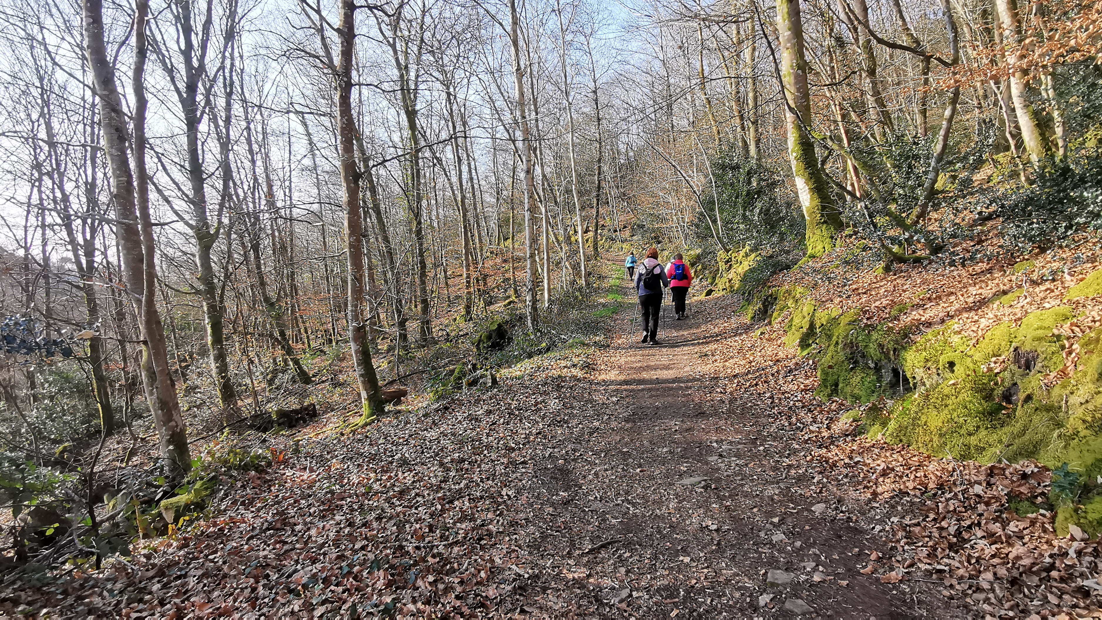 12-IMG_20210308_101122